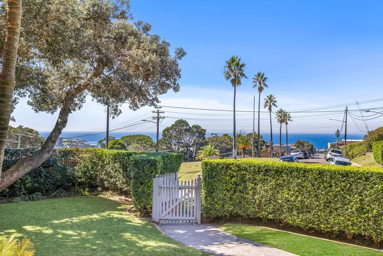 8 Higgs Street, Coogee, Coogee - Thumbnail 3