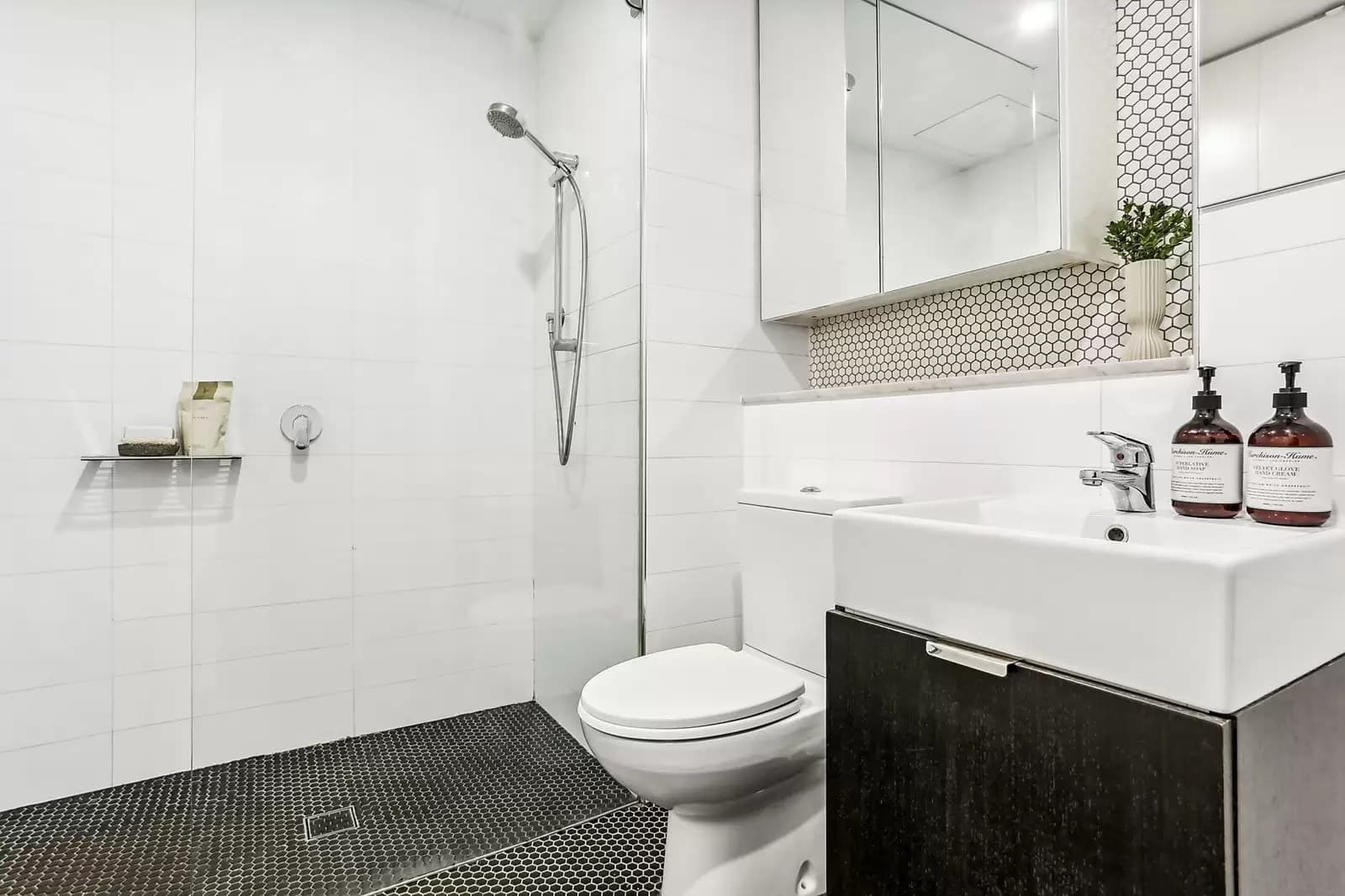 207/13-15 Bayswater Road, Potts Point, Potts Point - Thumbnail 5