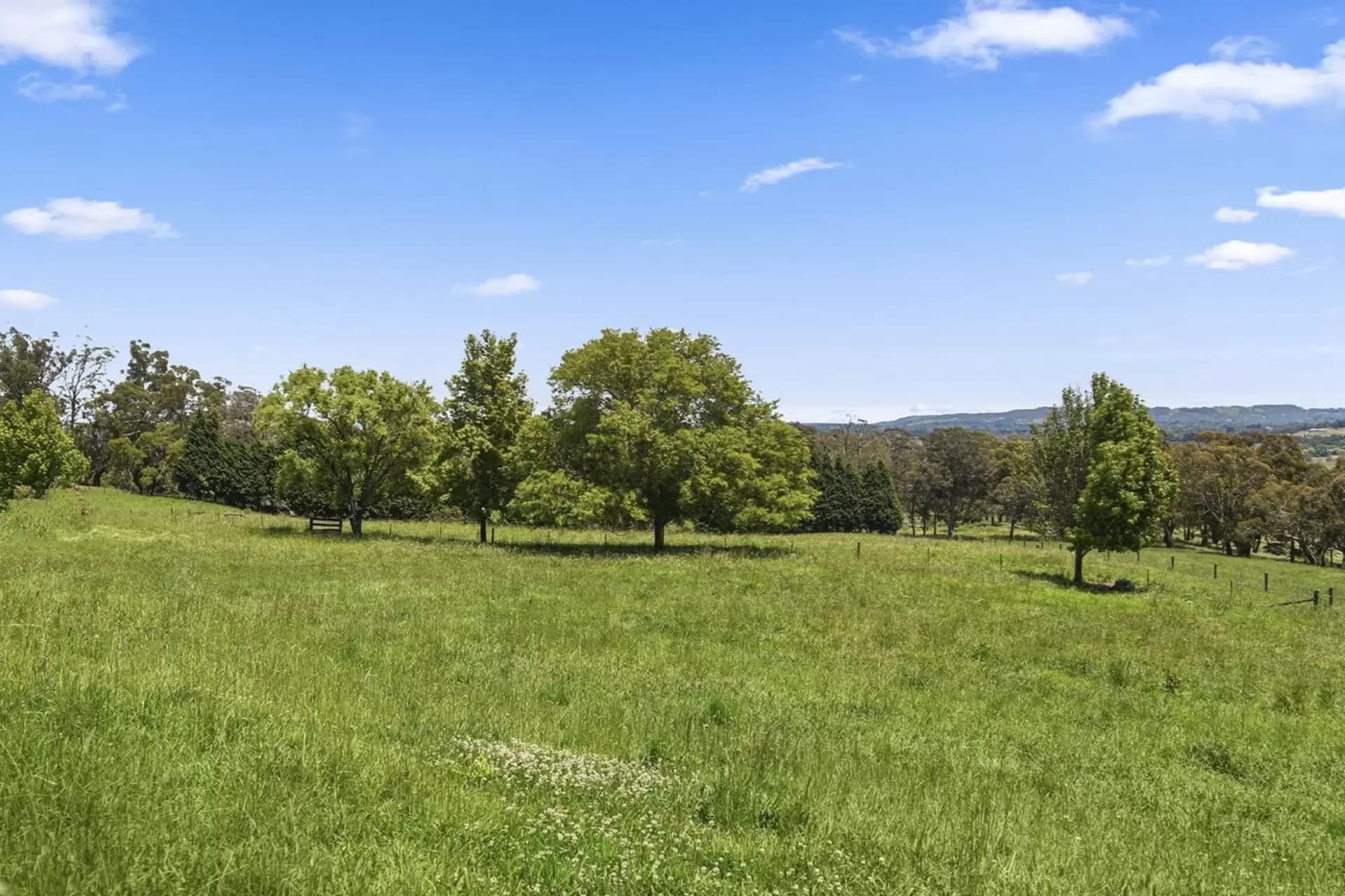 980 Range Road, Glenquarry, Glenquarry - Thumbnail 5