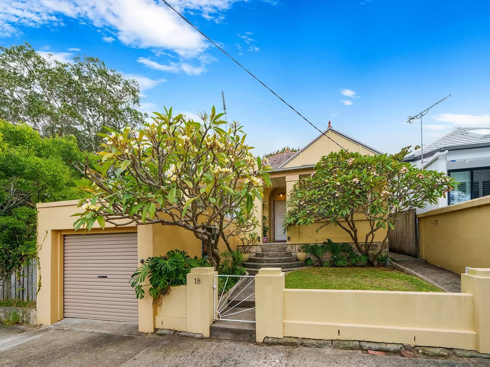 18 Bradley Avenue, Bellevue Hill, Bellevue Hill - Image 1