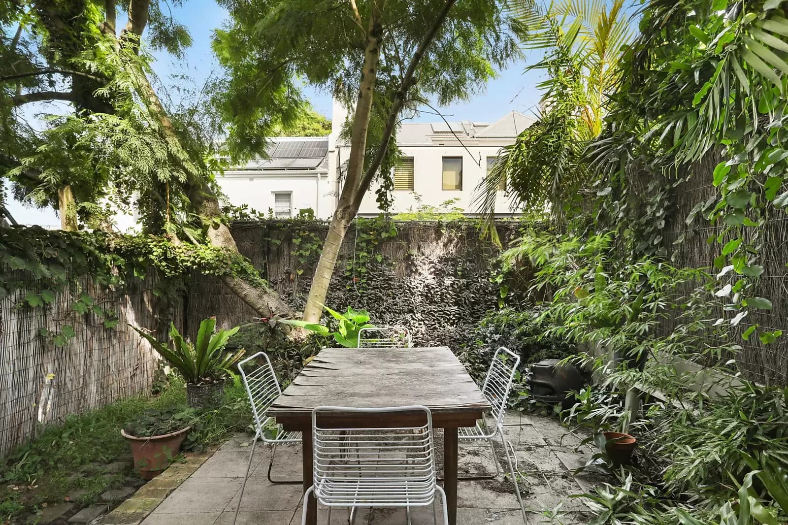 24 Womerah Avenue, Darlinghurst, Darlinghurst - Thumbnail 3