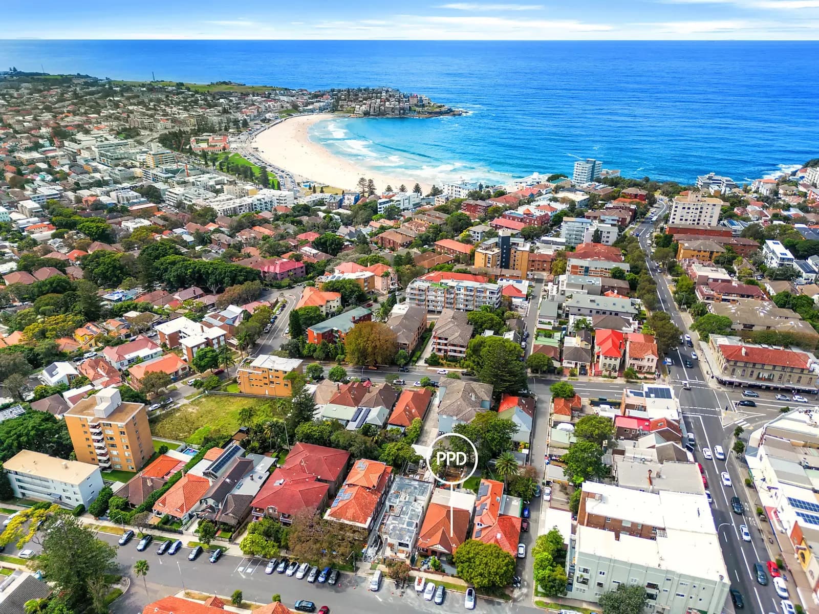5 Castlefield Street, Bondi, Bondi - Thumbnail 7