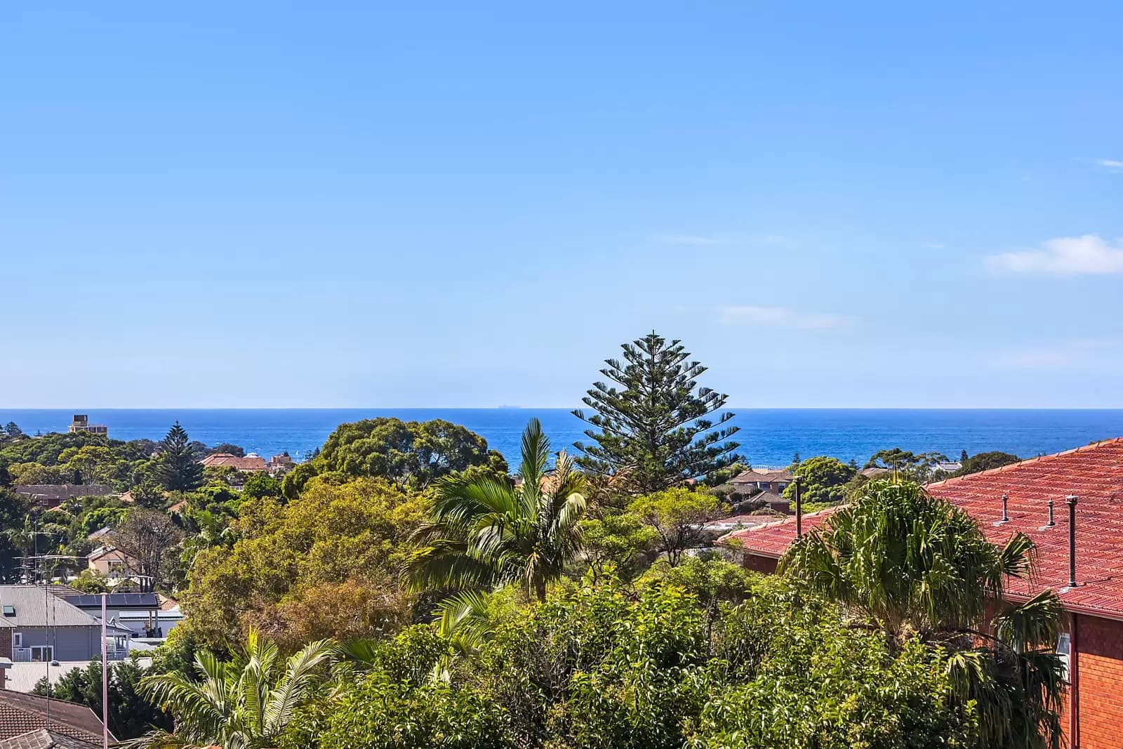 31 Pitt Street, Randwick, Randwick - Thumbnail 2