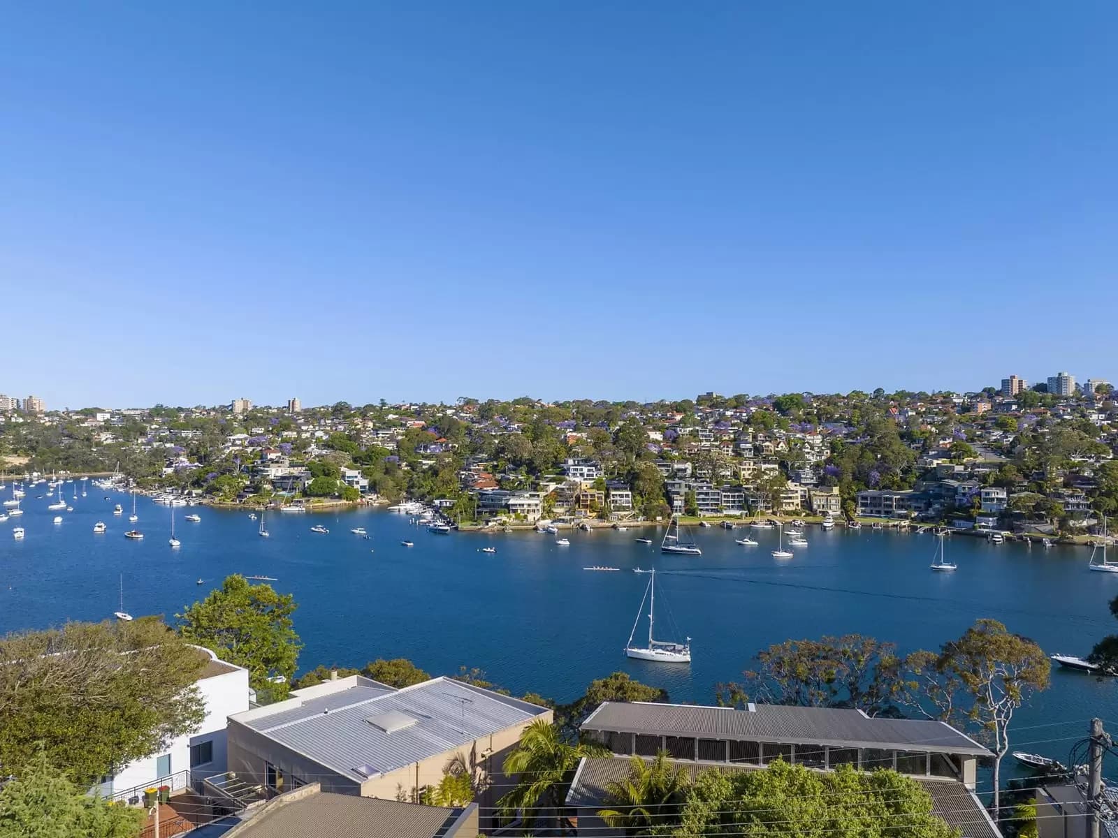 19 Weemala Road, Northbridge, Northbridge - Thumbnail 3