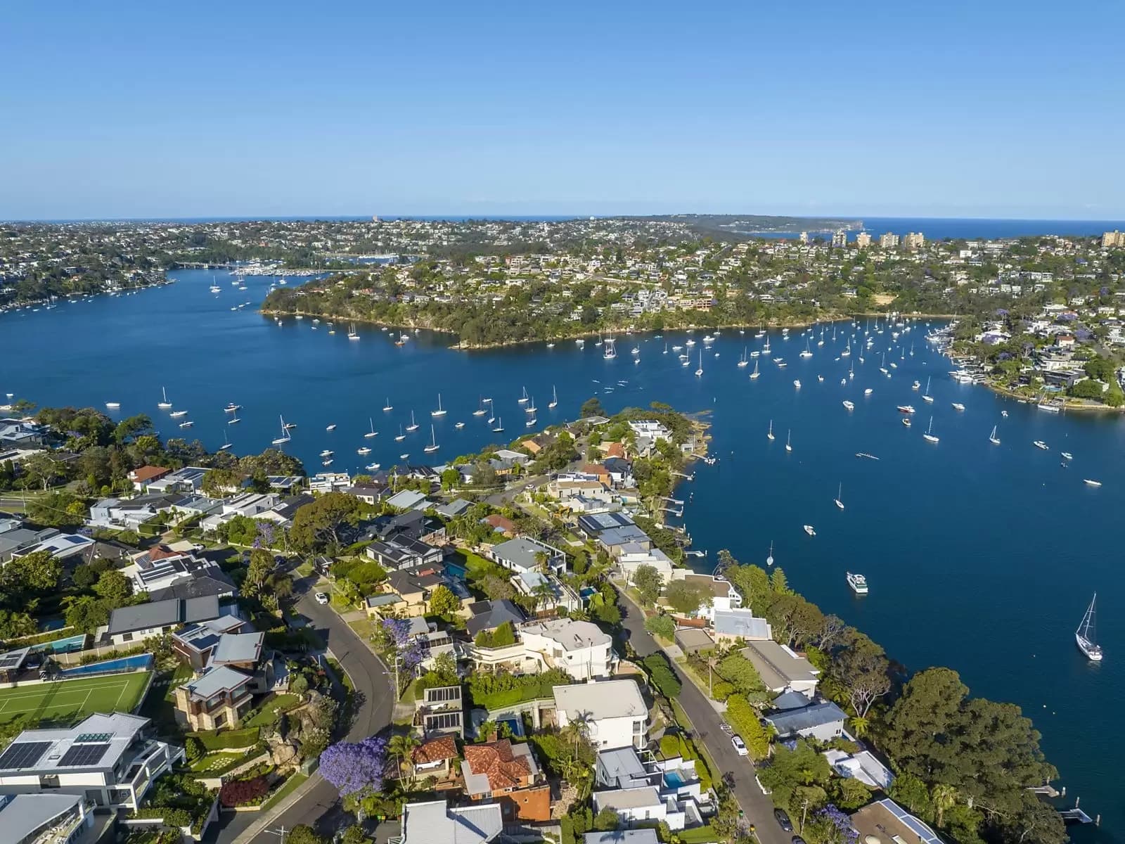 19 Weemala Road, Northbridge, Northbridge - Thumbnail 8