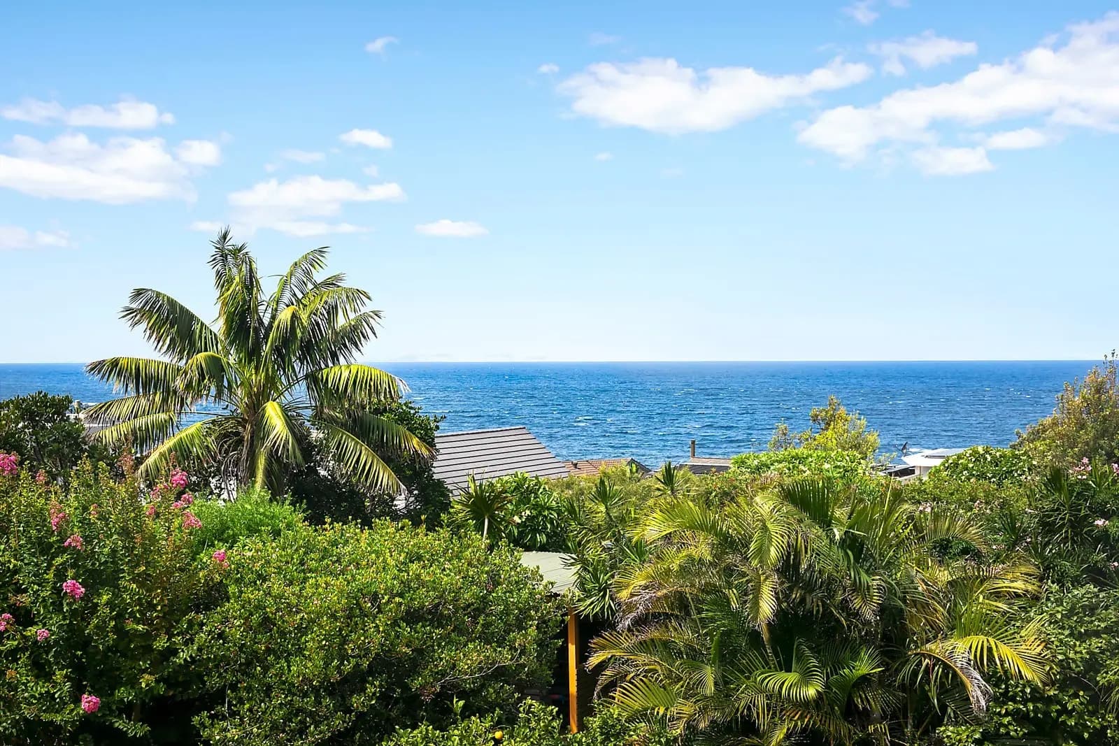 32 Cuzco Street, South Coogee, South Coogee - Thumbnail 2