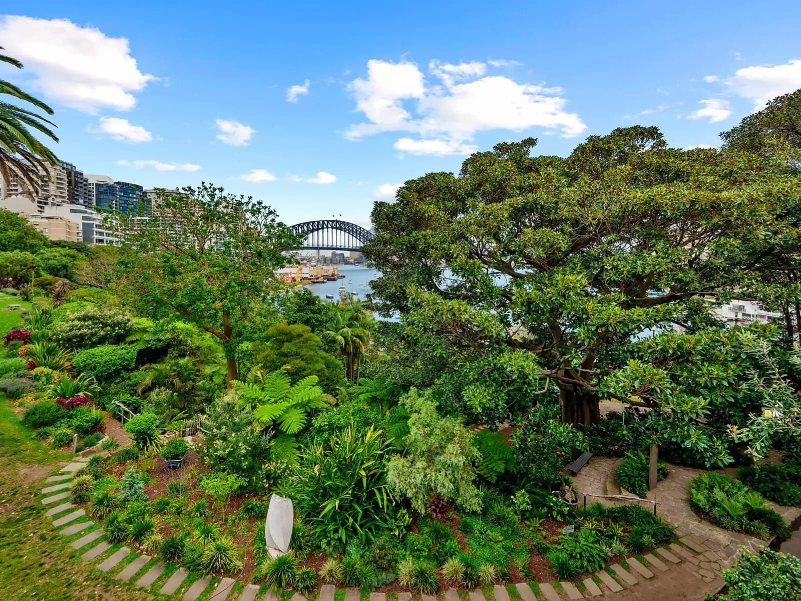 3 Walker Street, Lavender Bay, Lavender Bay - Thumbnail 6