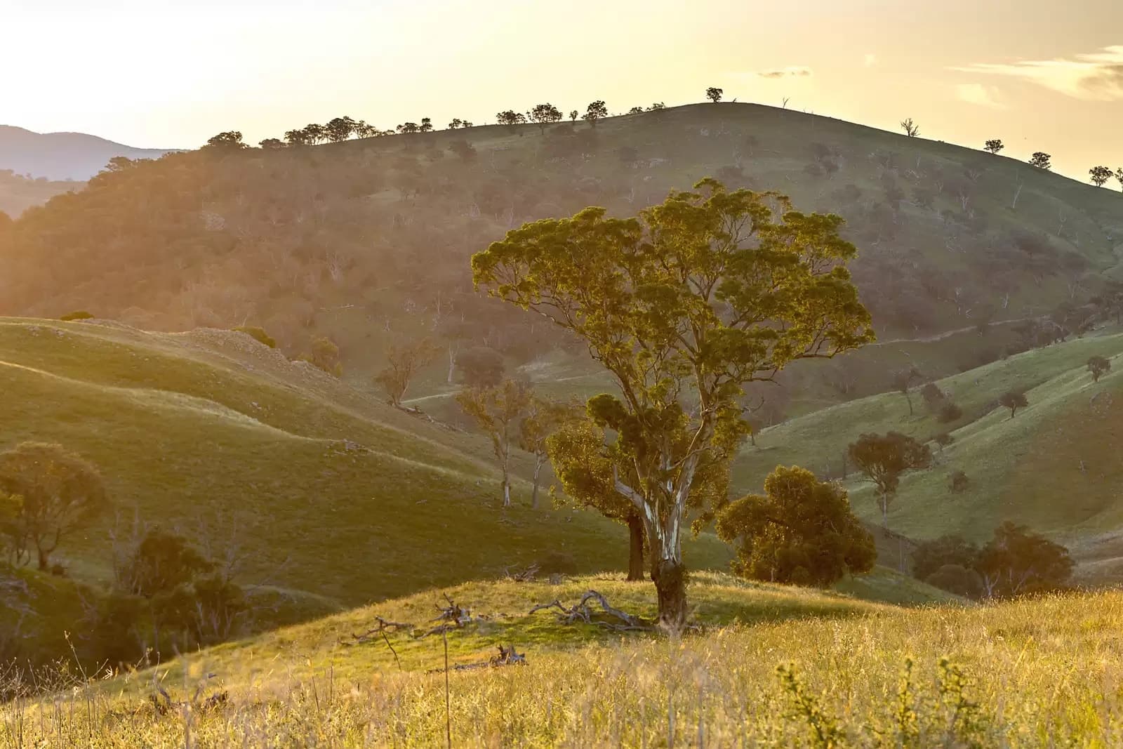 'Dowan Hill' Connells Lane, Yass, Yass - Thumbnail 2