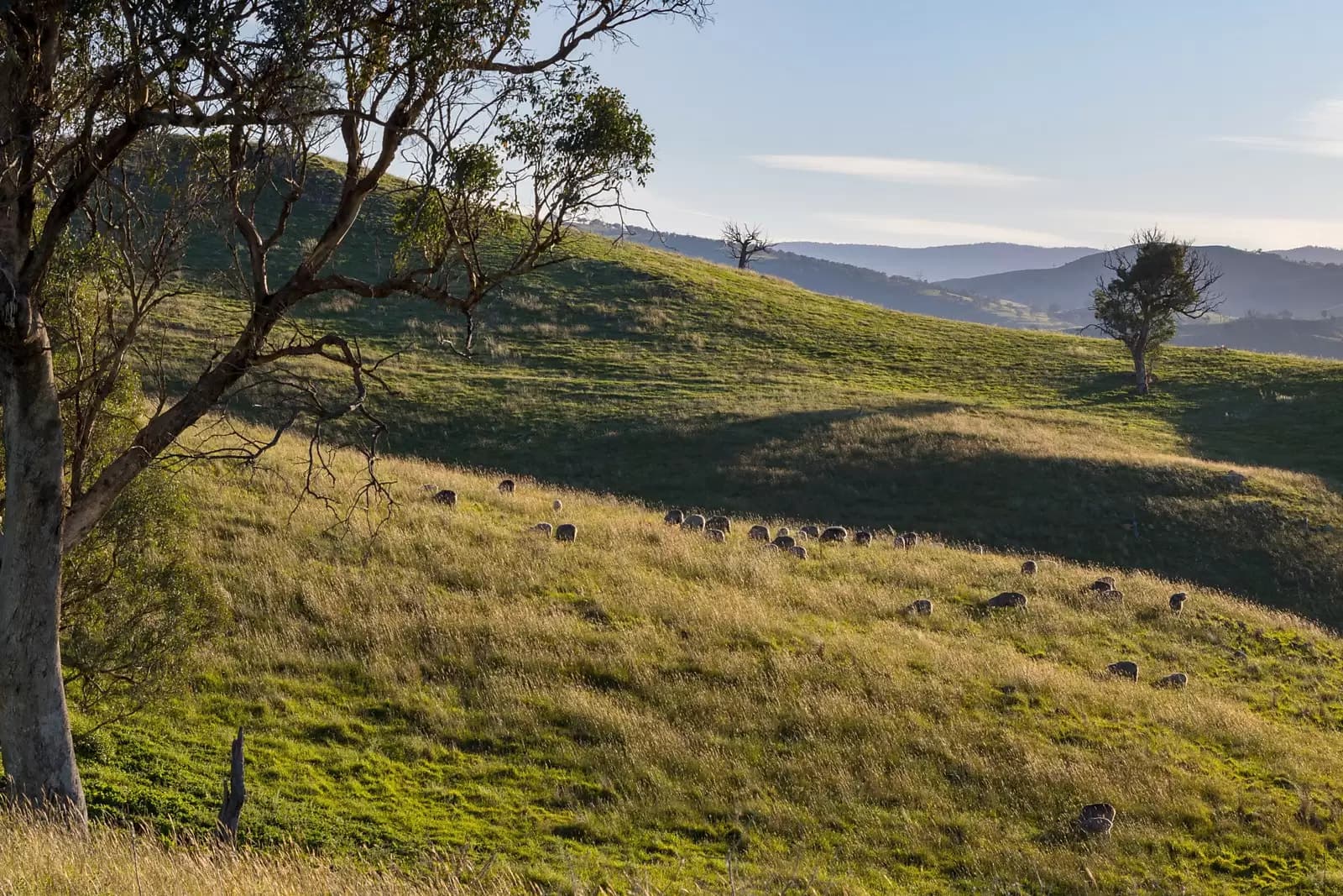 'Dowan Hill' Connells Lane, Yass, Yass - Thumbnail 7