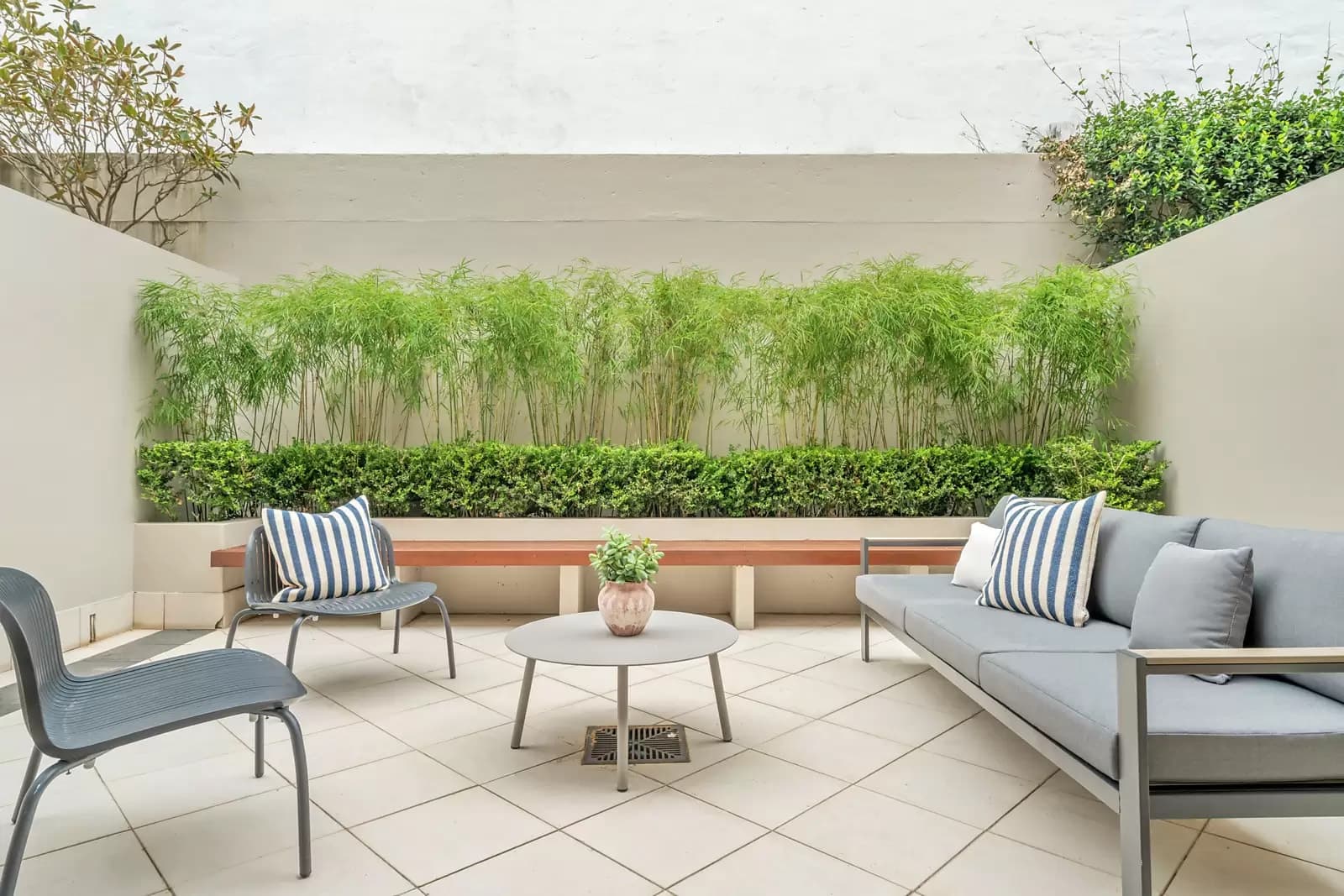 3/19-21 Roylston Street, Paddington, Paddington - Thumbnail 4