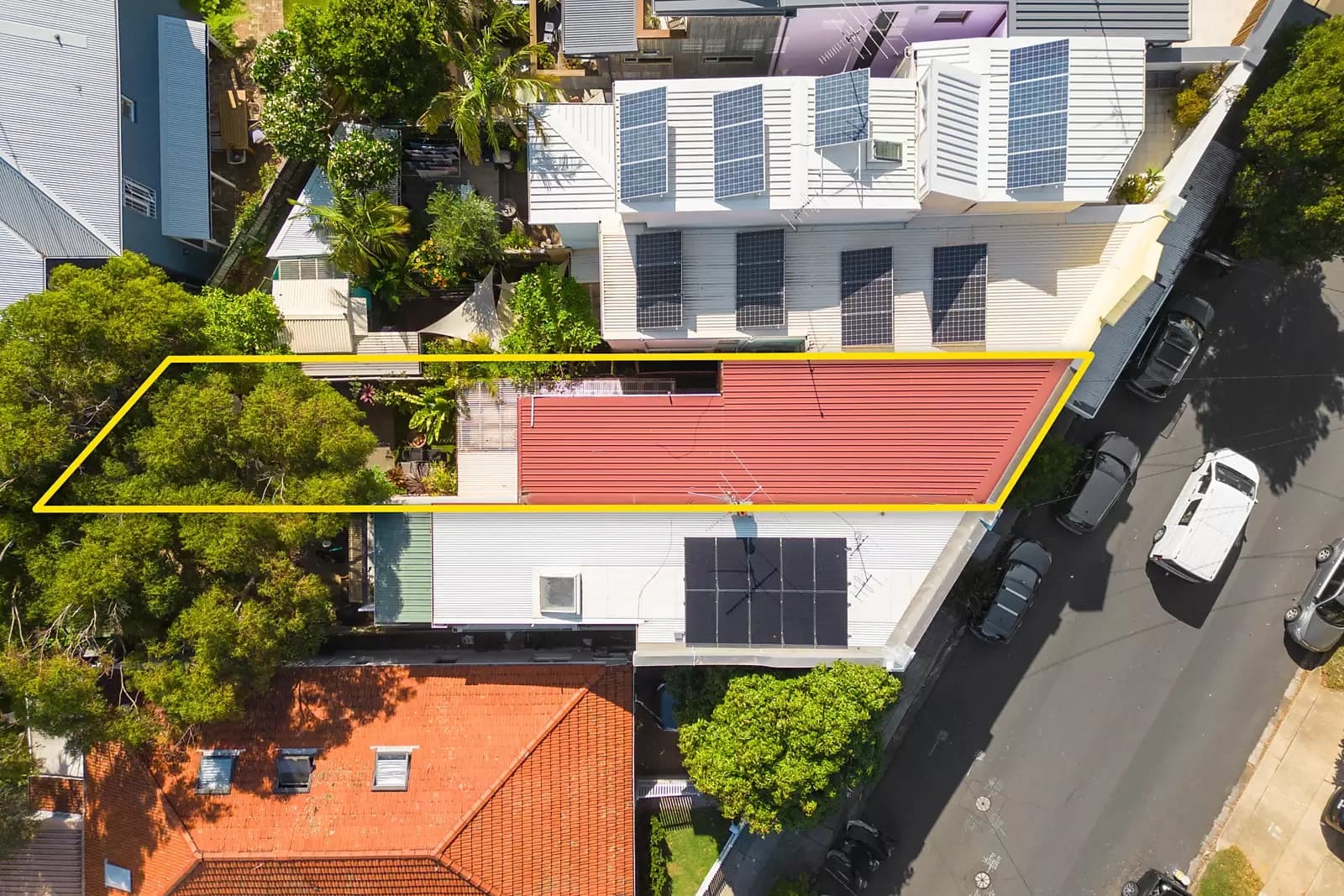 19 Burnie Street, Clovelly, Clovelly - Thumbnail 7