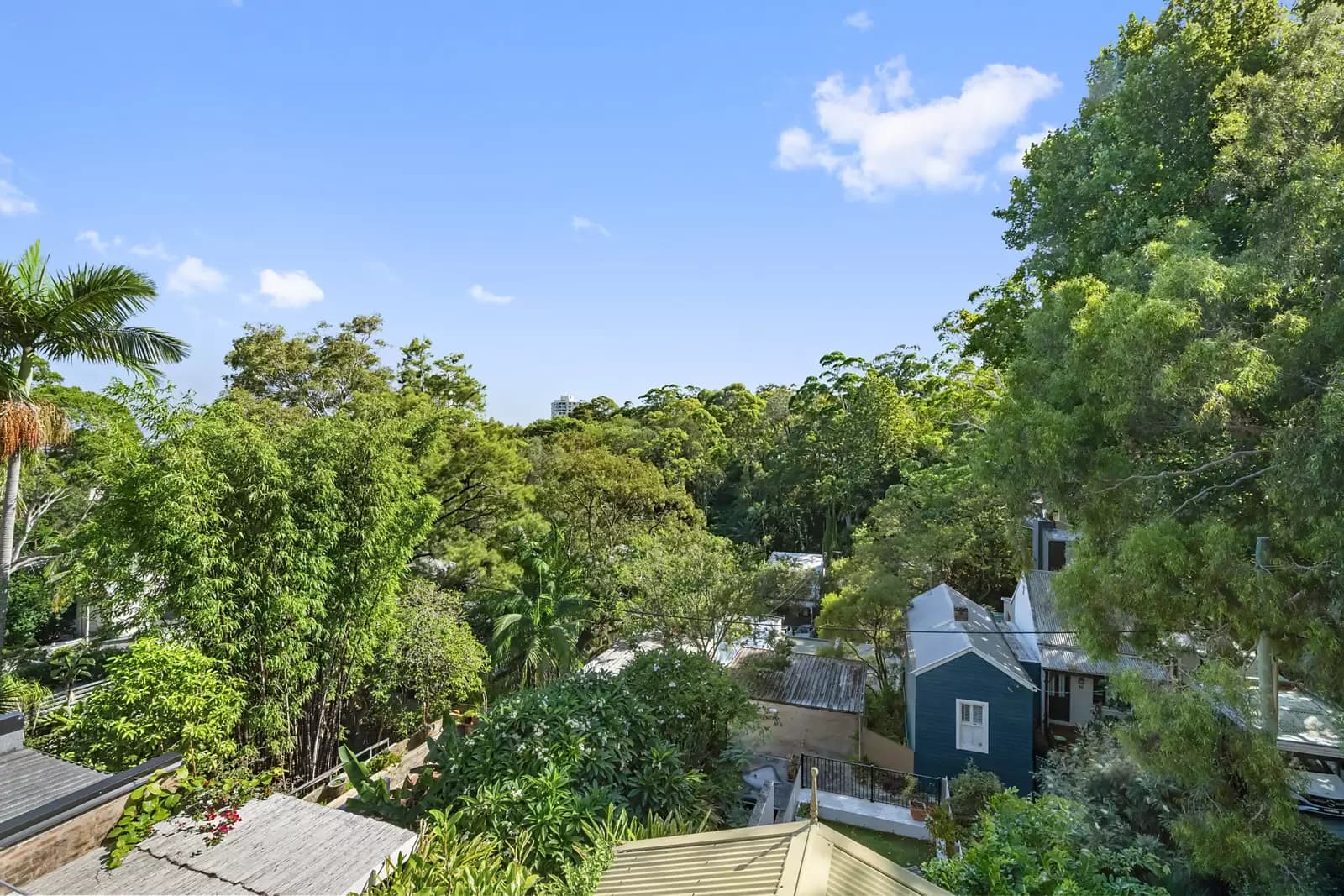 172 Sutherland Street, Paddington, Paddington - Thumbnail 7
