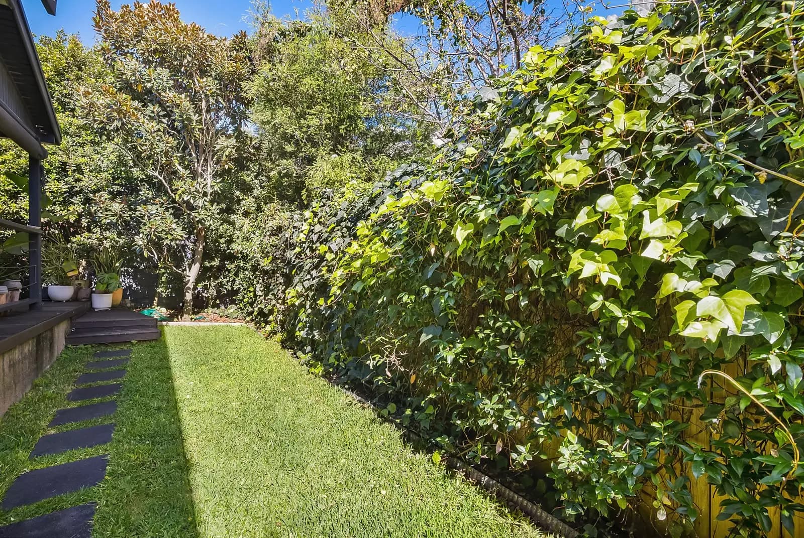 8 St Pauls Street, Randwick, Randwick - Thumbnail 6