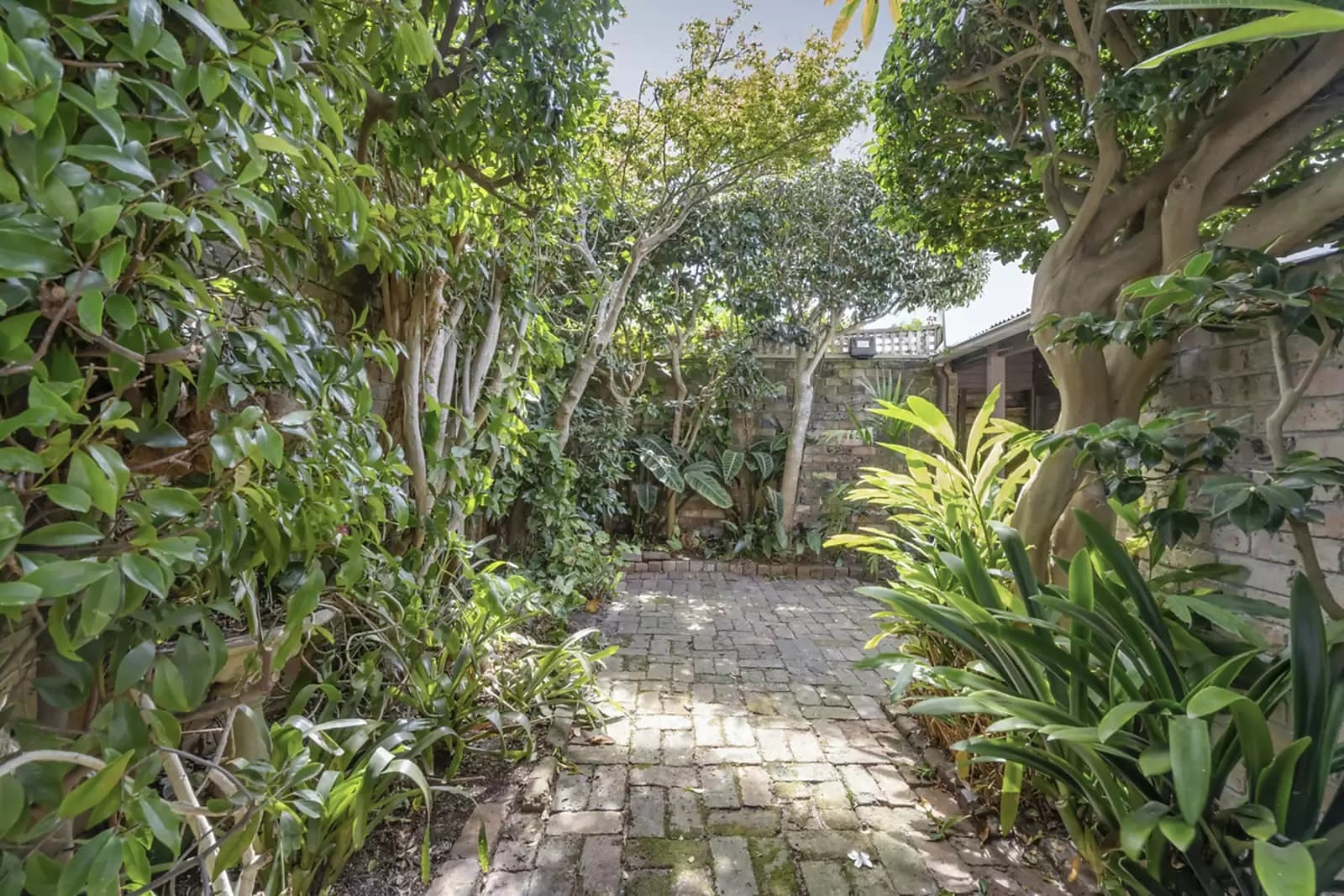 6 Norfolk Street, Paddington, Paddington - Thumbnail 6