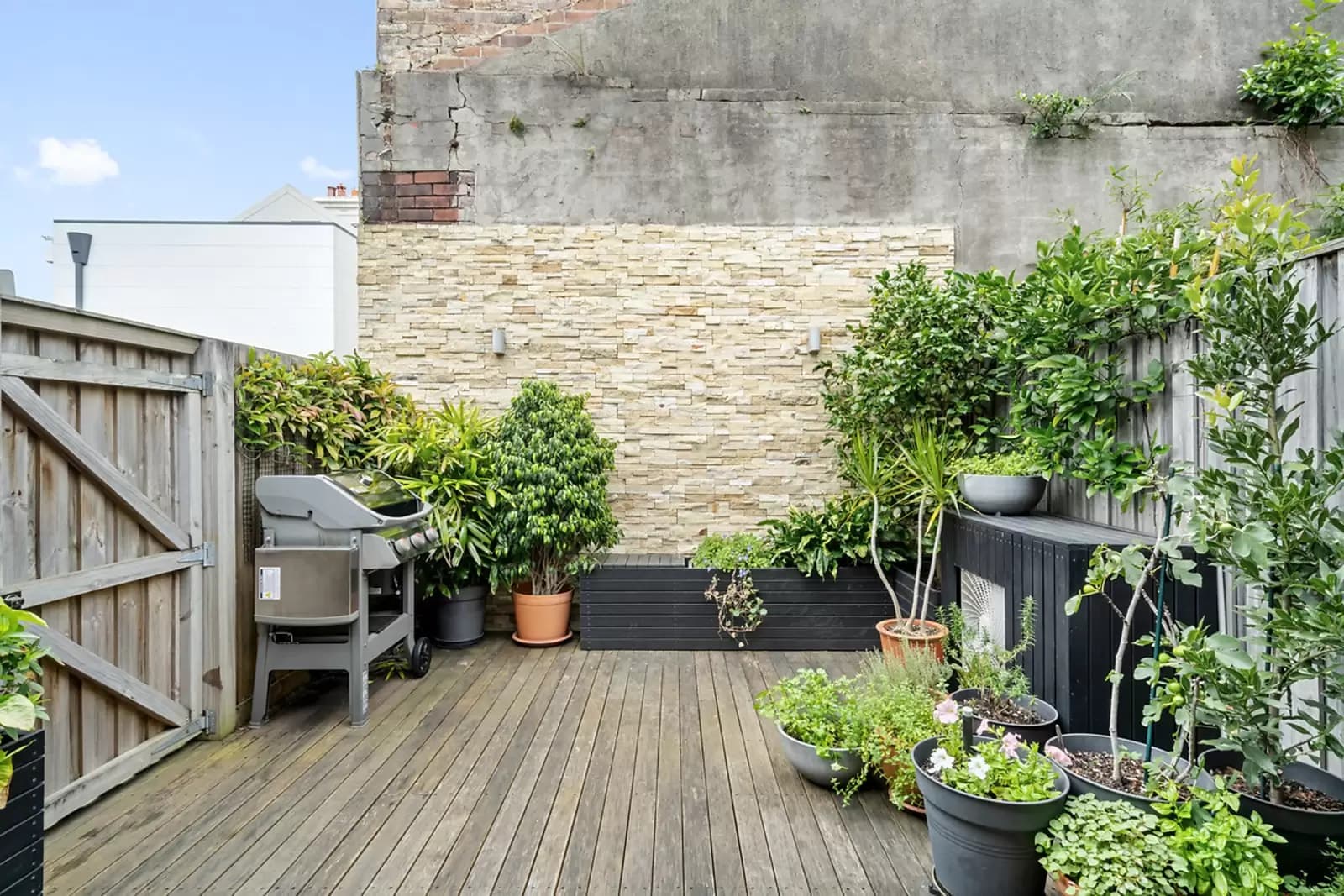 32 Gipps Street, Paddington, Paddington - Thumbnail 4