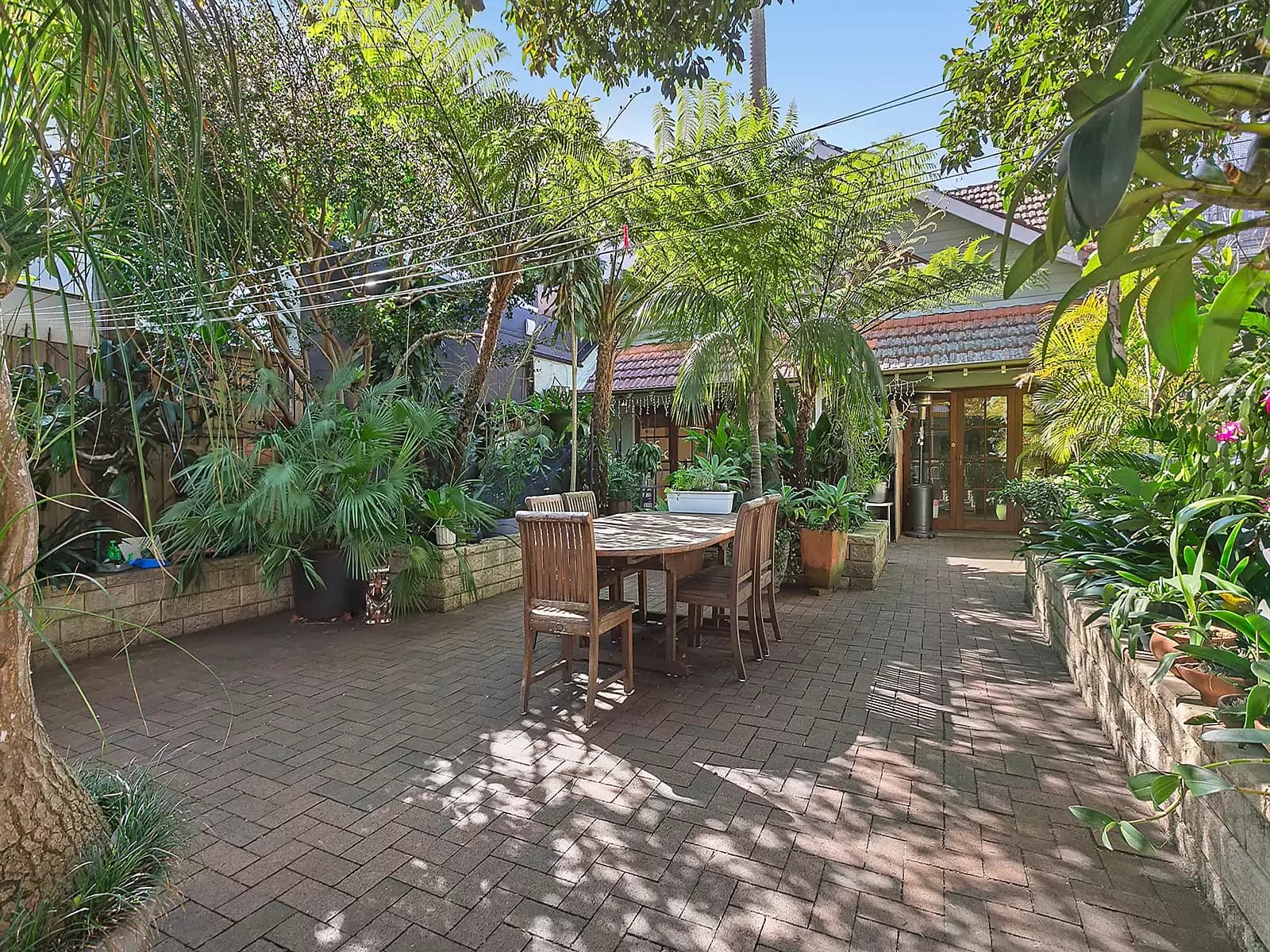 3 Courland Street, Randwick, Randwick - Thumbnail 7