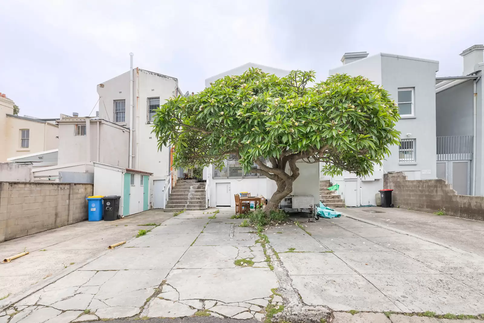 424 Oxford Street, Paddington, Paddington - Thumbnail 2