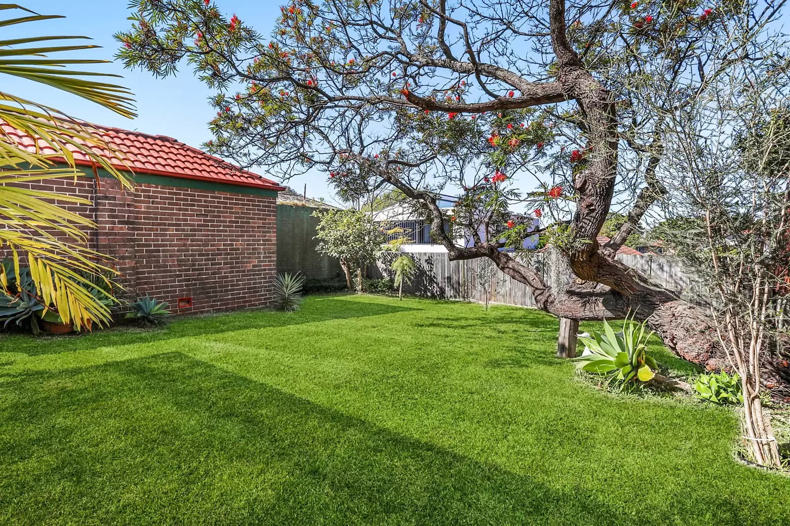 61 Tunstall Avenue, Kingsford, Kingsford - Thumbnail 5