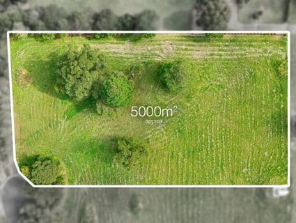 152 Ocean Vista Drive, Maroochy River, QLD, 4561, Maroochy River - Thumbnail 2
