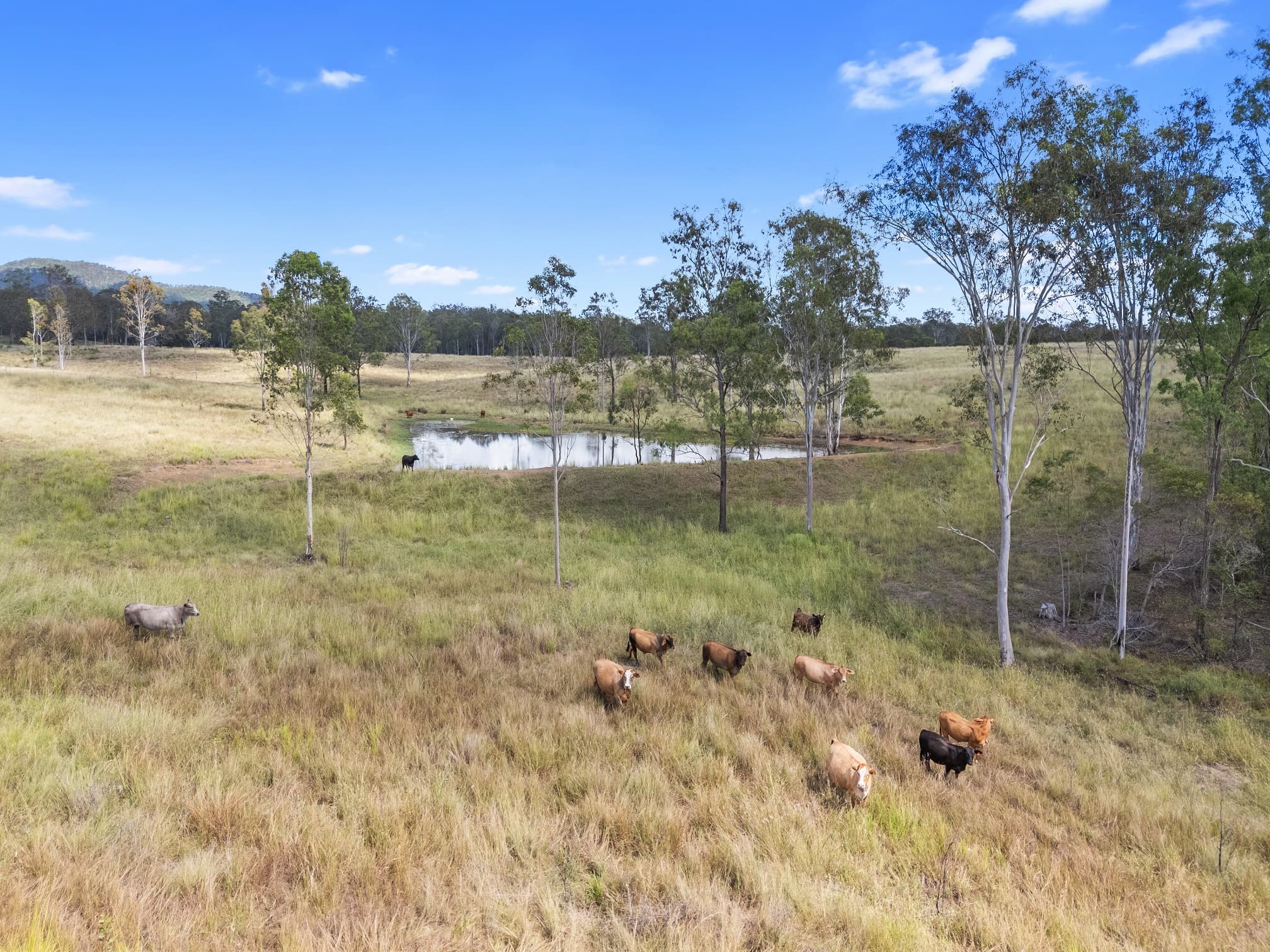 Lot 70 Brooweena Woolooga Road Woolooga, QLD, 4570,  - Thumbnail 2