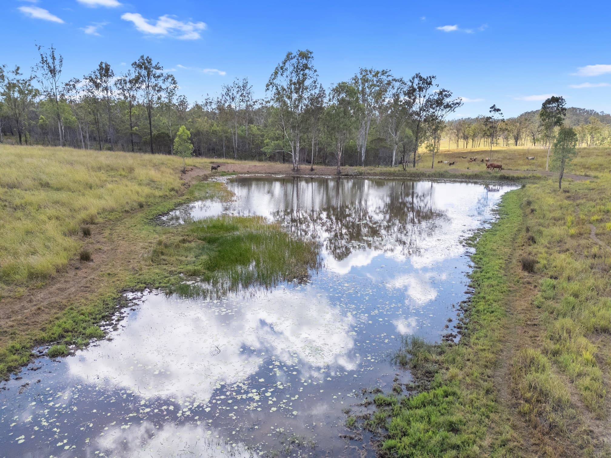 Lot 70 Brooweena Woolooga Road Woolooga, QLD, 4570,  - Thumbnail 3