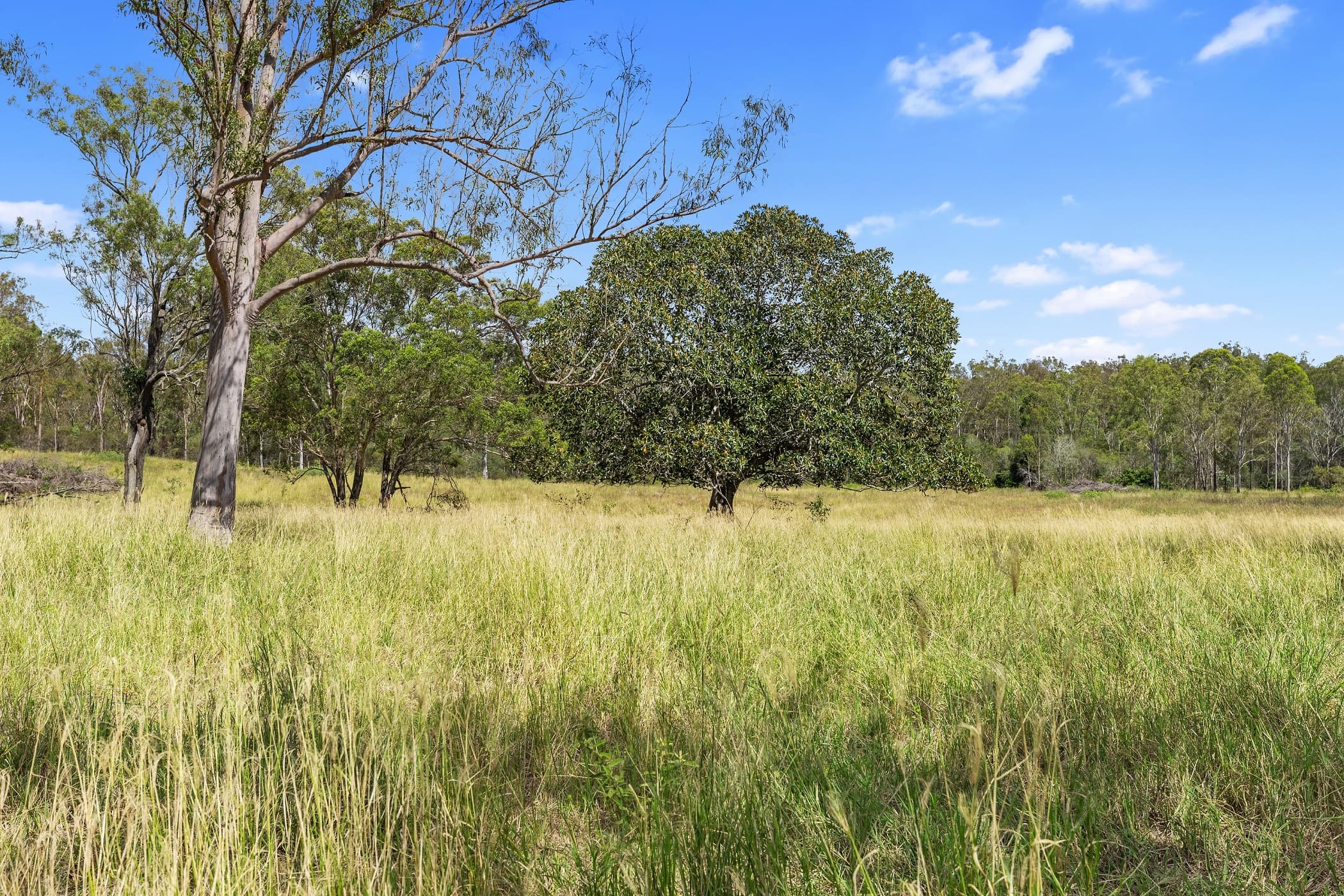 Lot 70 Brooweena Woolooga Road Woolooga, QLD, 4570,  - Thumbnail 5