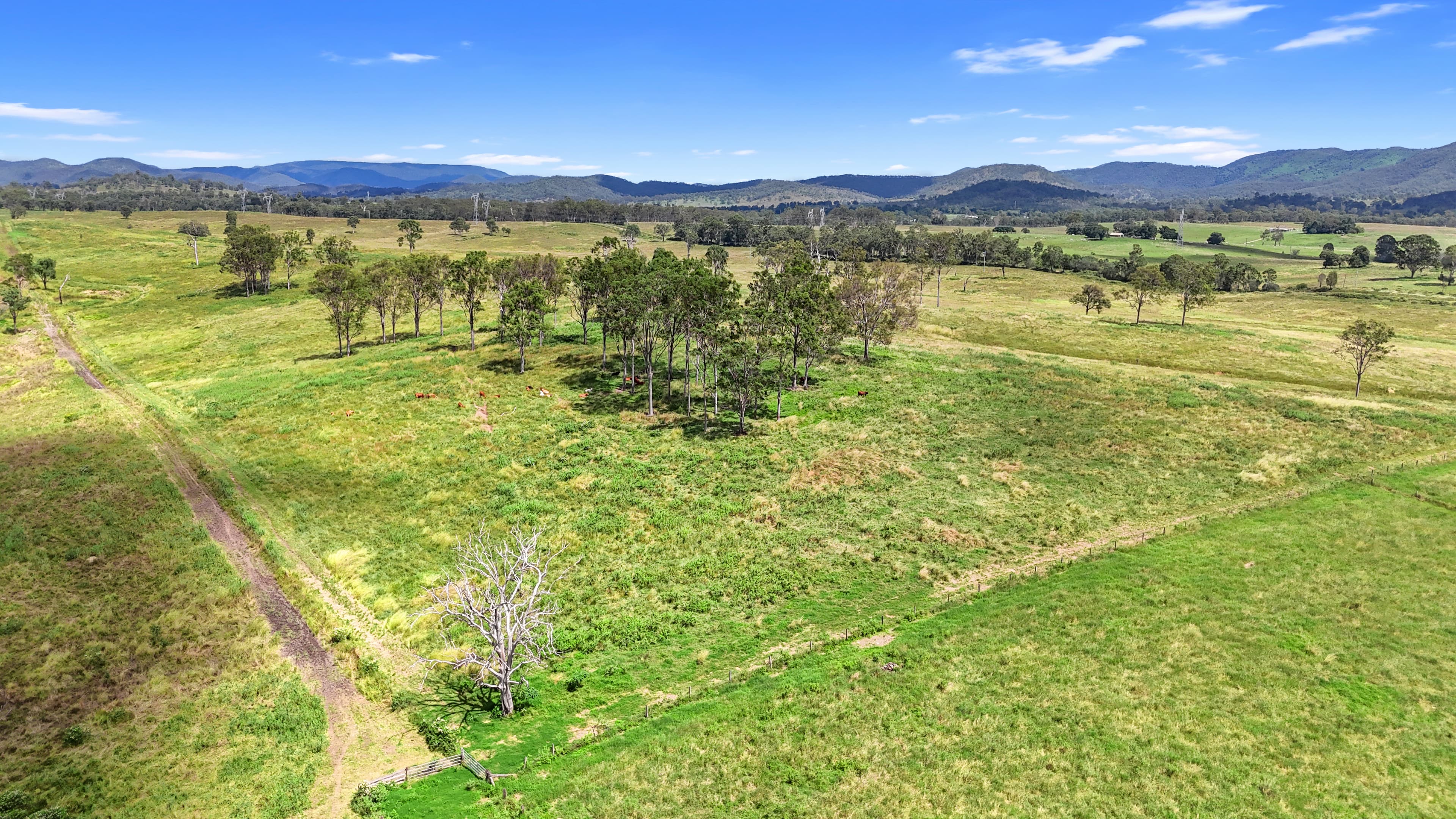 Lot 51 Staples Road Woolooga, Qld, 4570,  - Thumbnail 5