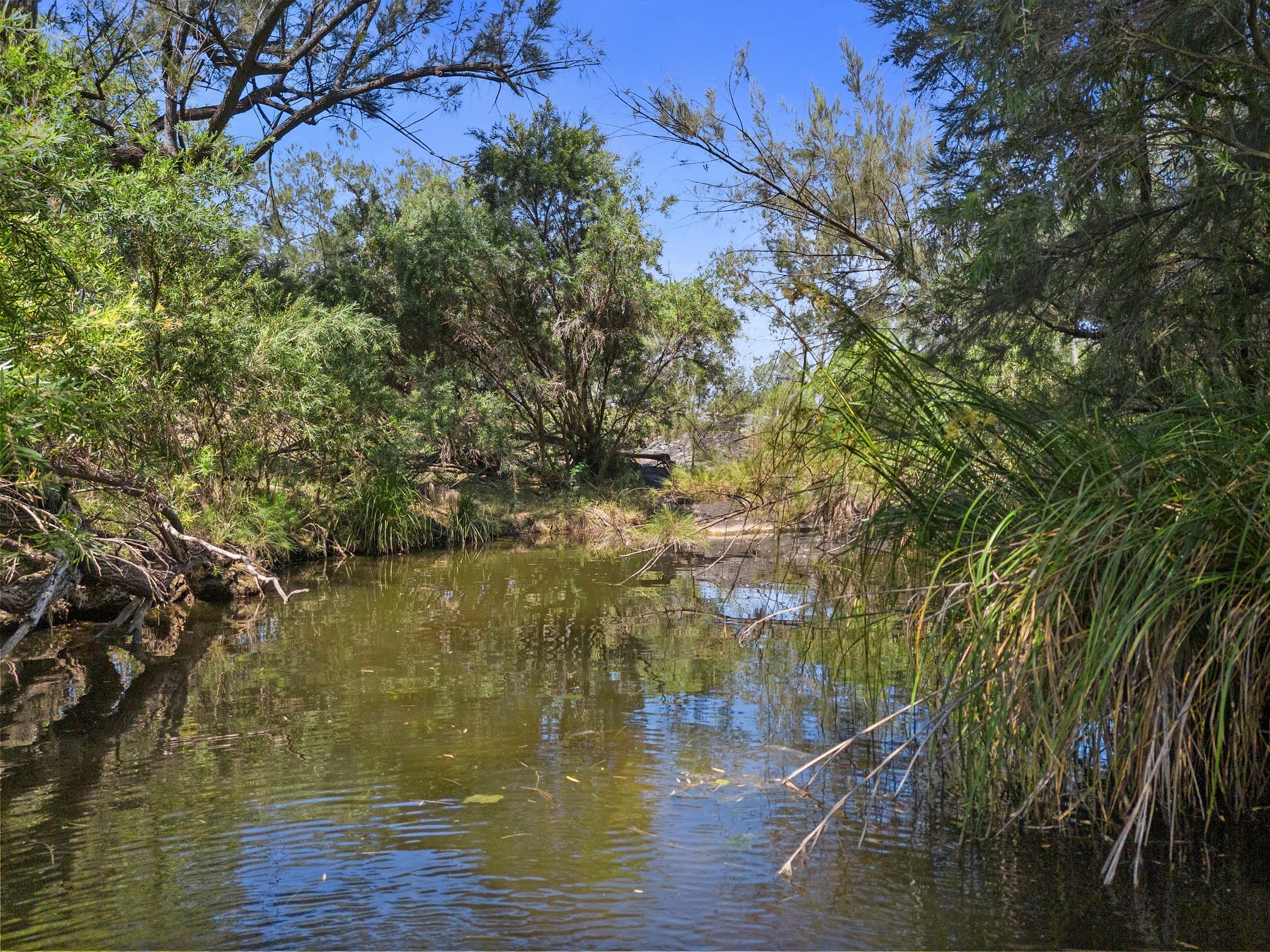 4379 Wide Bay Highway Cinnabar, Qld, 4600,  - Thumbnail 3