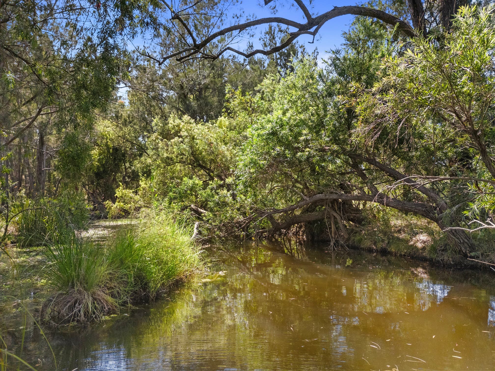 4379 Wide Bay Highway Cinnabar, Qld, 4600,  - Thumbnail 4