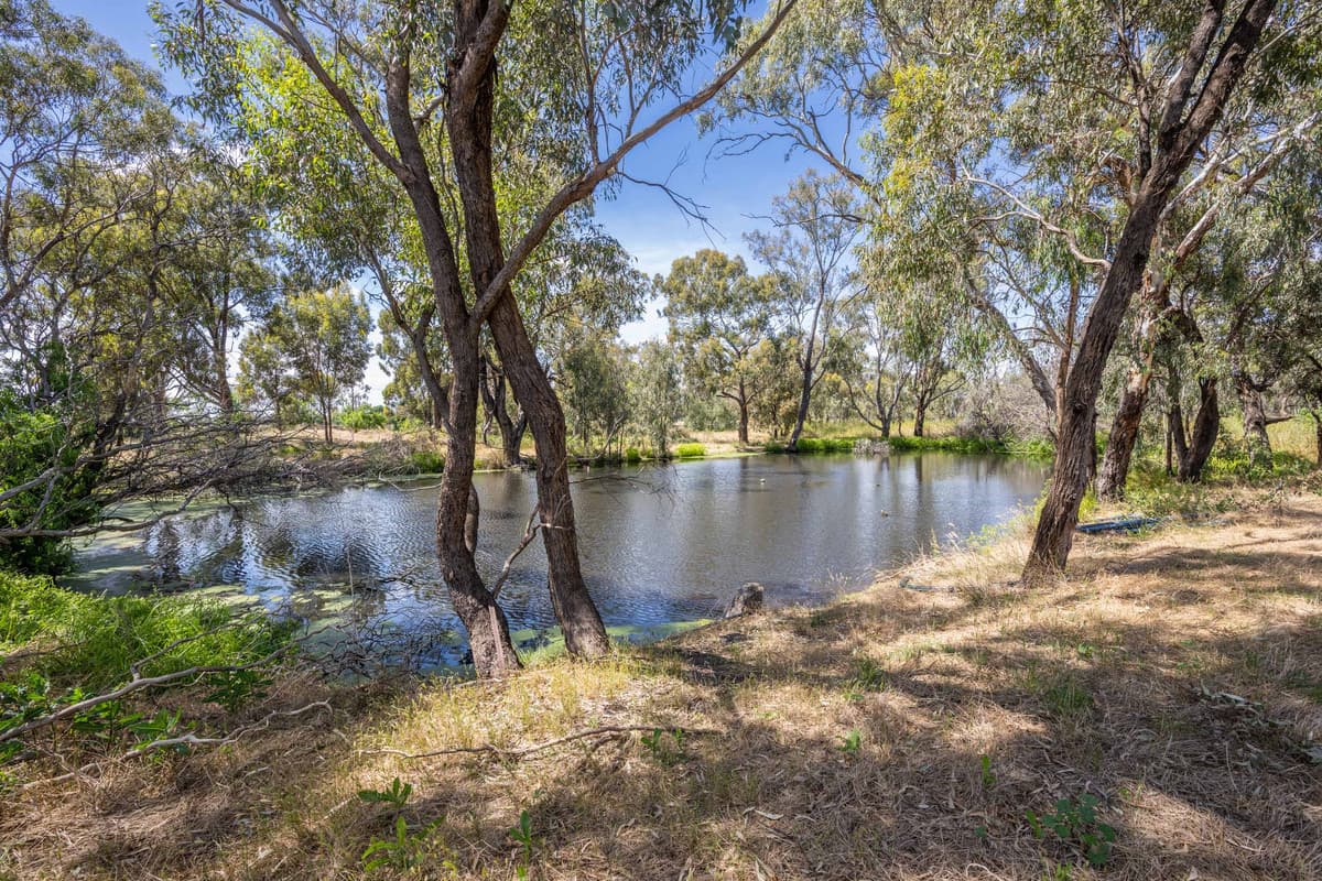 2920 Katamatite-Shepparton Main Road, Congupna VIC 3633, Congupna - Thumbnail 4