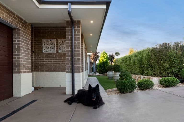 4 Benalla St, Crace, Crace - Thumbnail 4