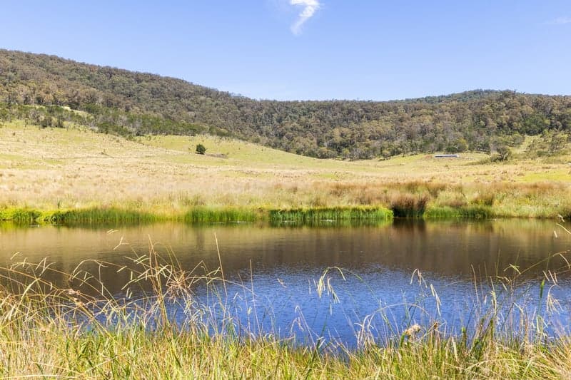 6 Silvertop Lane, Krawarree - Thumbnail 5