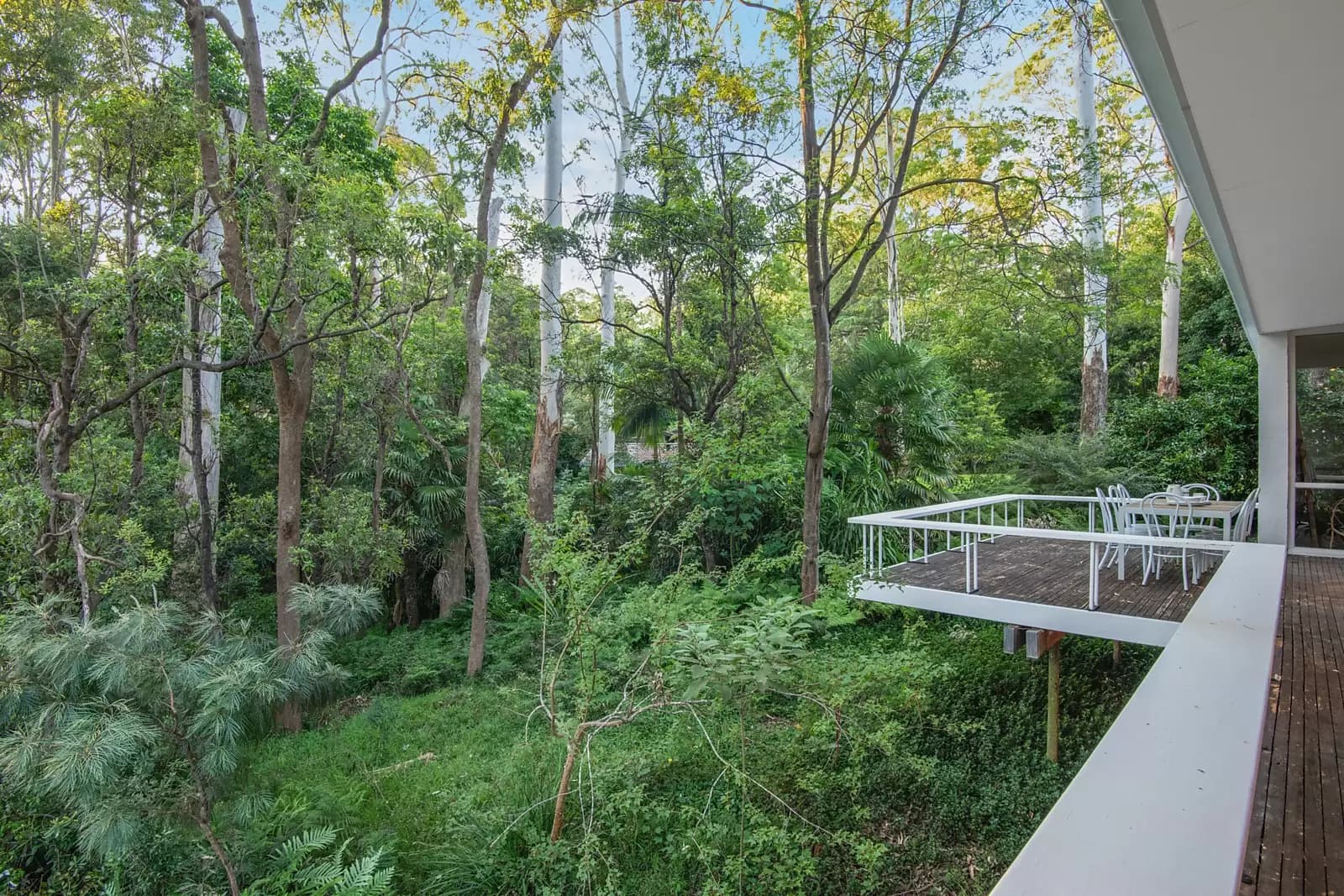 23 Roland Avenue, Wahroonga, Wahroonga - Thumbnail 4