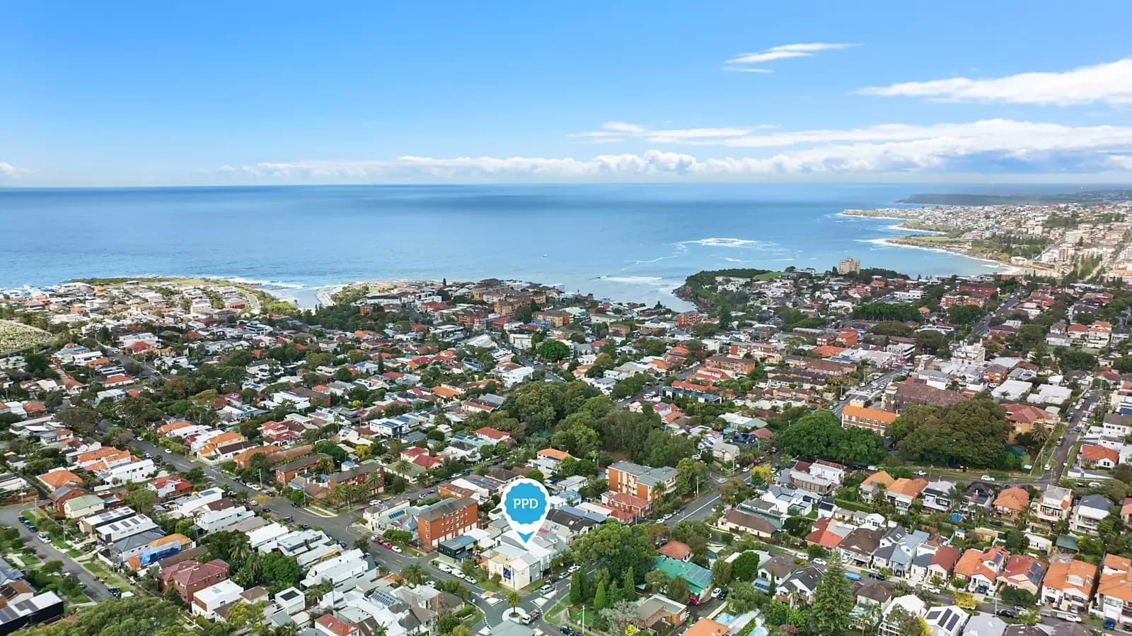 19 Arden Street, Clovelly, Clovelly - Thumbnail 7