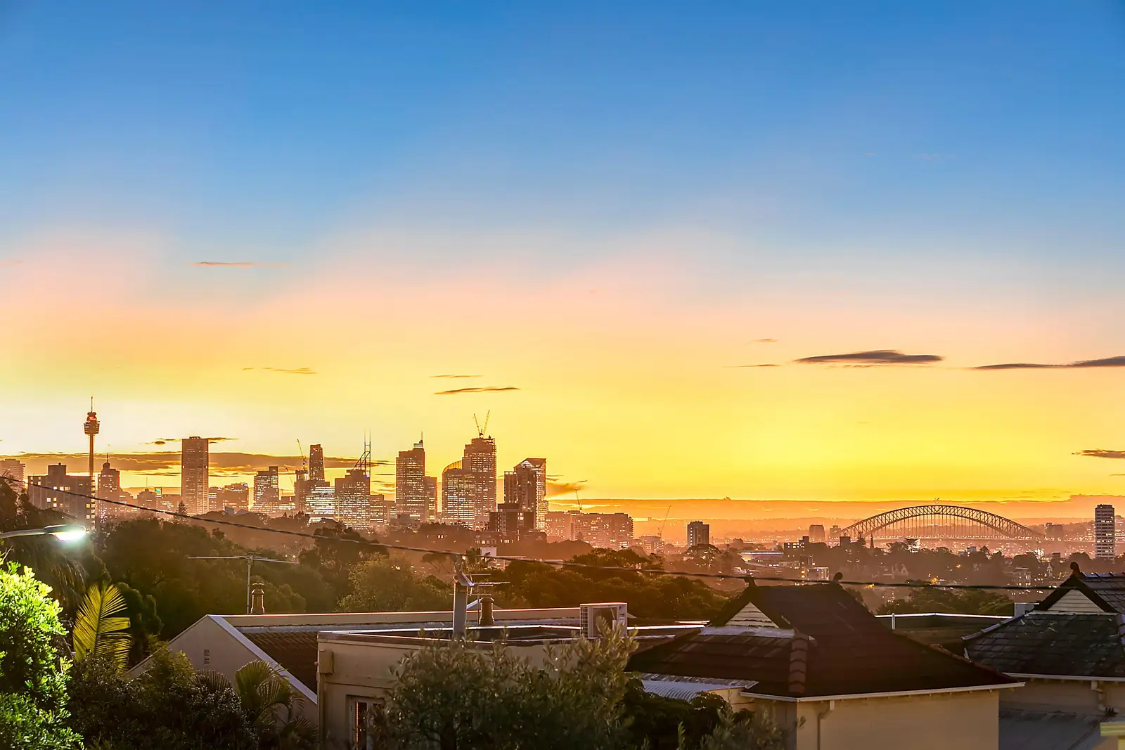 51 Edgecliff Road, Woollahra, Woollahra - Thumbnail 2