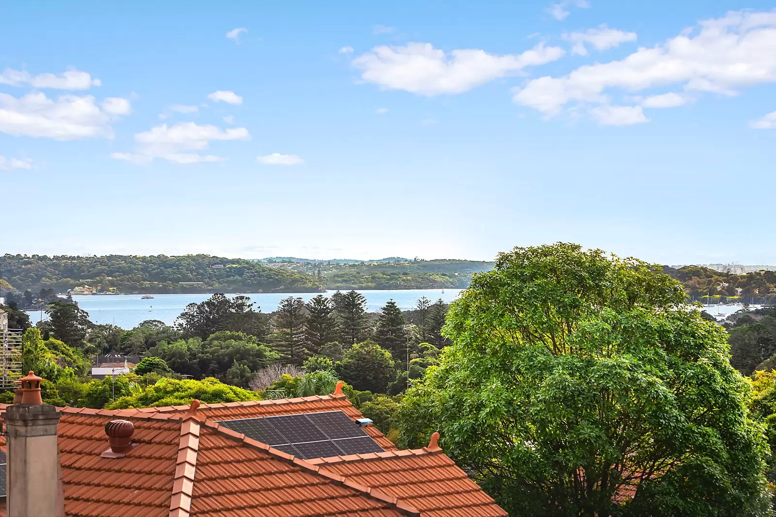 3A Bundarra Road, Bellevue Hill, Bellevue Hill - Thumbnail 3