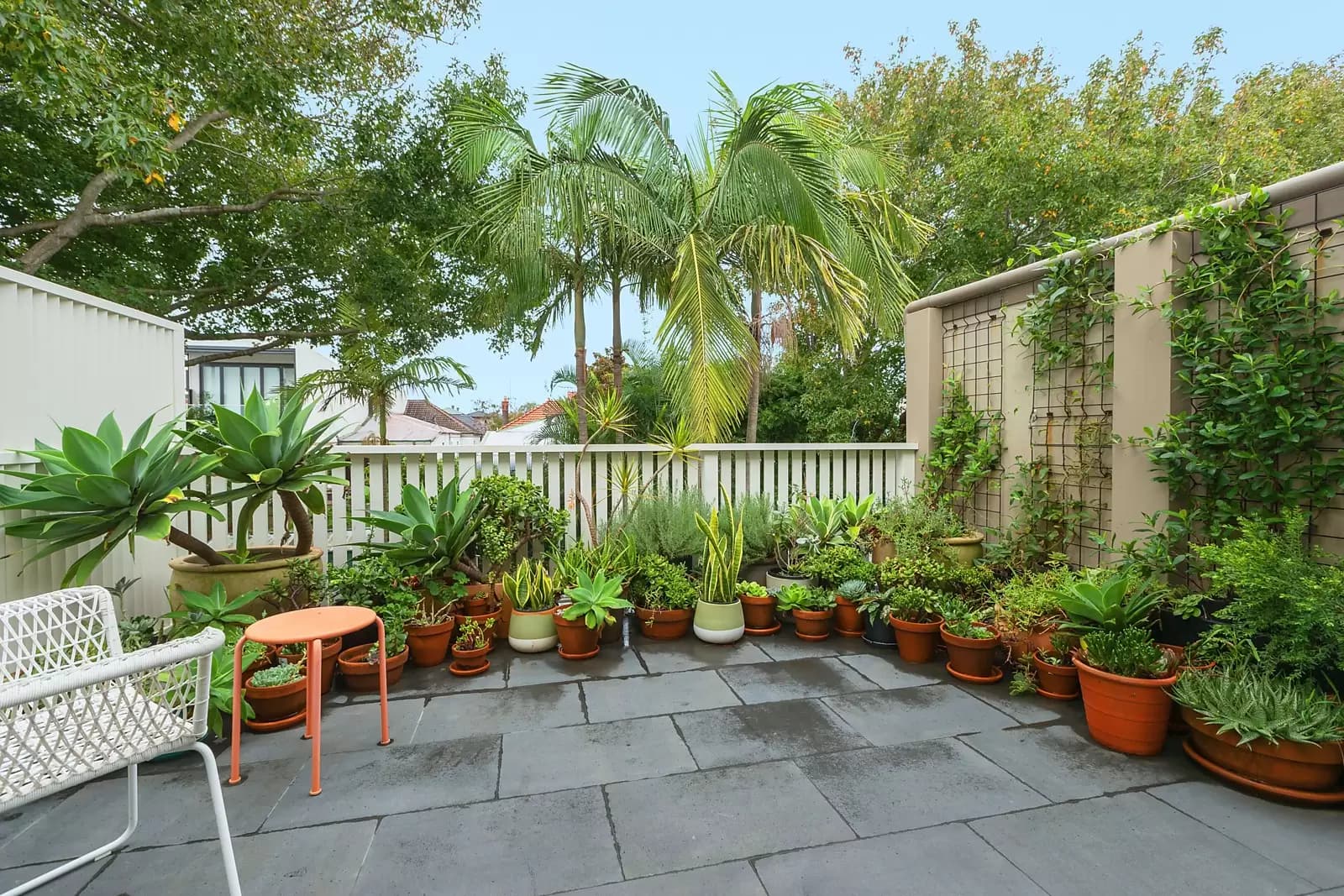 15 Searle Avenue, Randwick, Randwick - Thumbnail 6