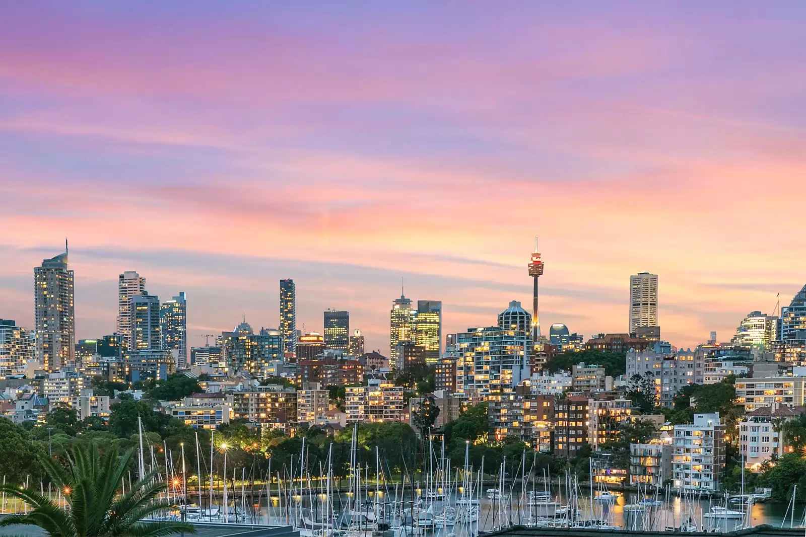4/3 Annandale Street, Darling Point, Darling Point - Thumbnail 4