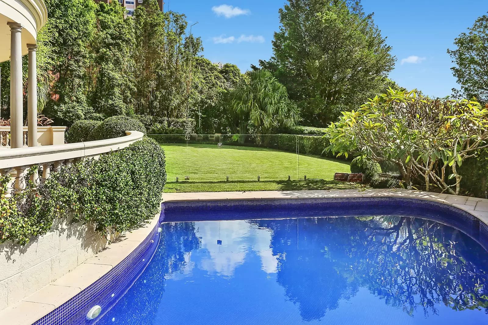 24 Albert Street, Edgecliff, Edgecliff - Thumbnail 7