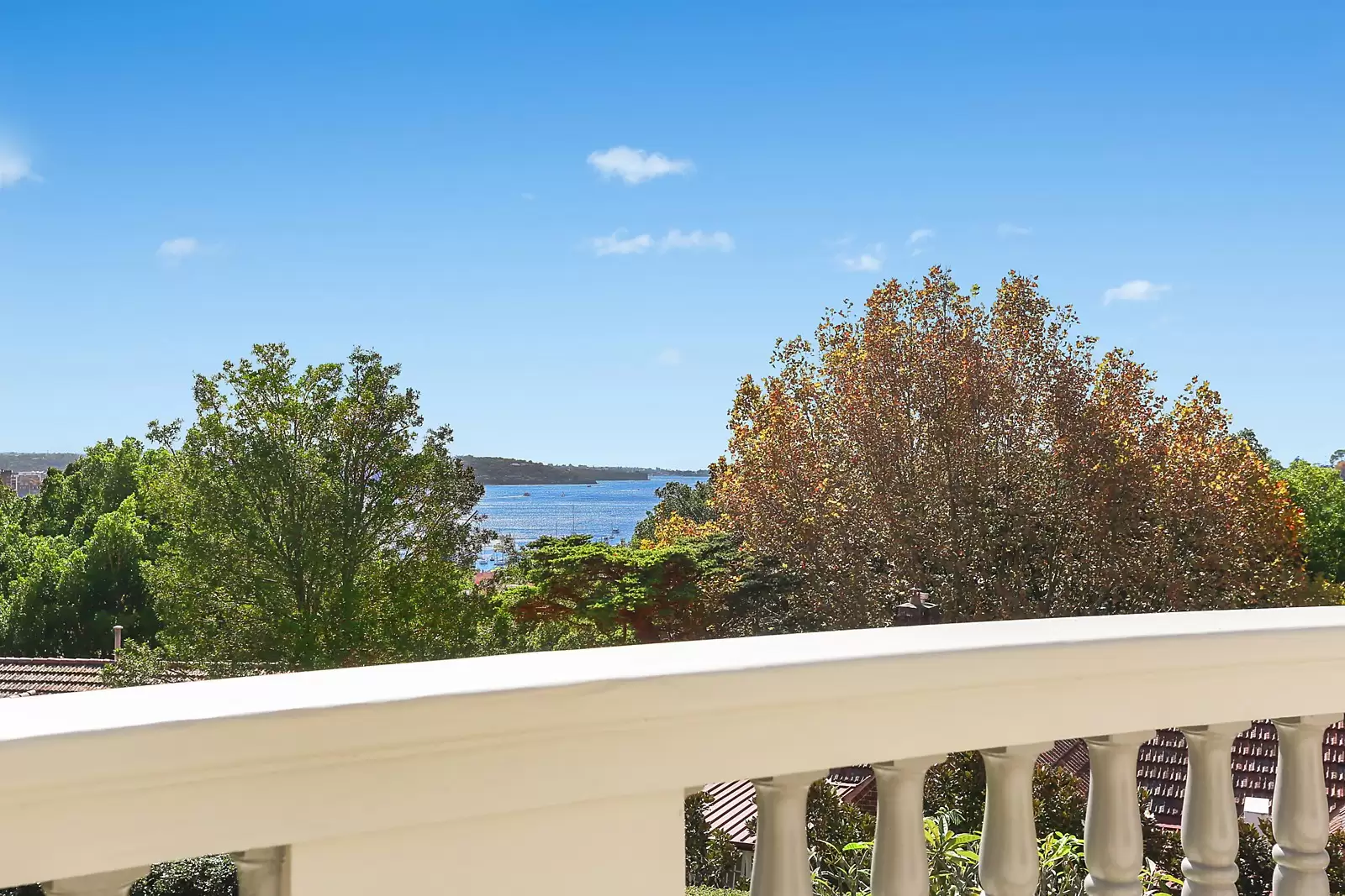 24 Albert Street, Edgecliff, Edgecliff - Thumbnail 8