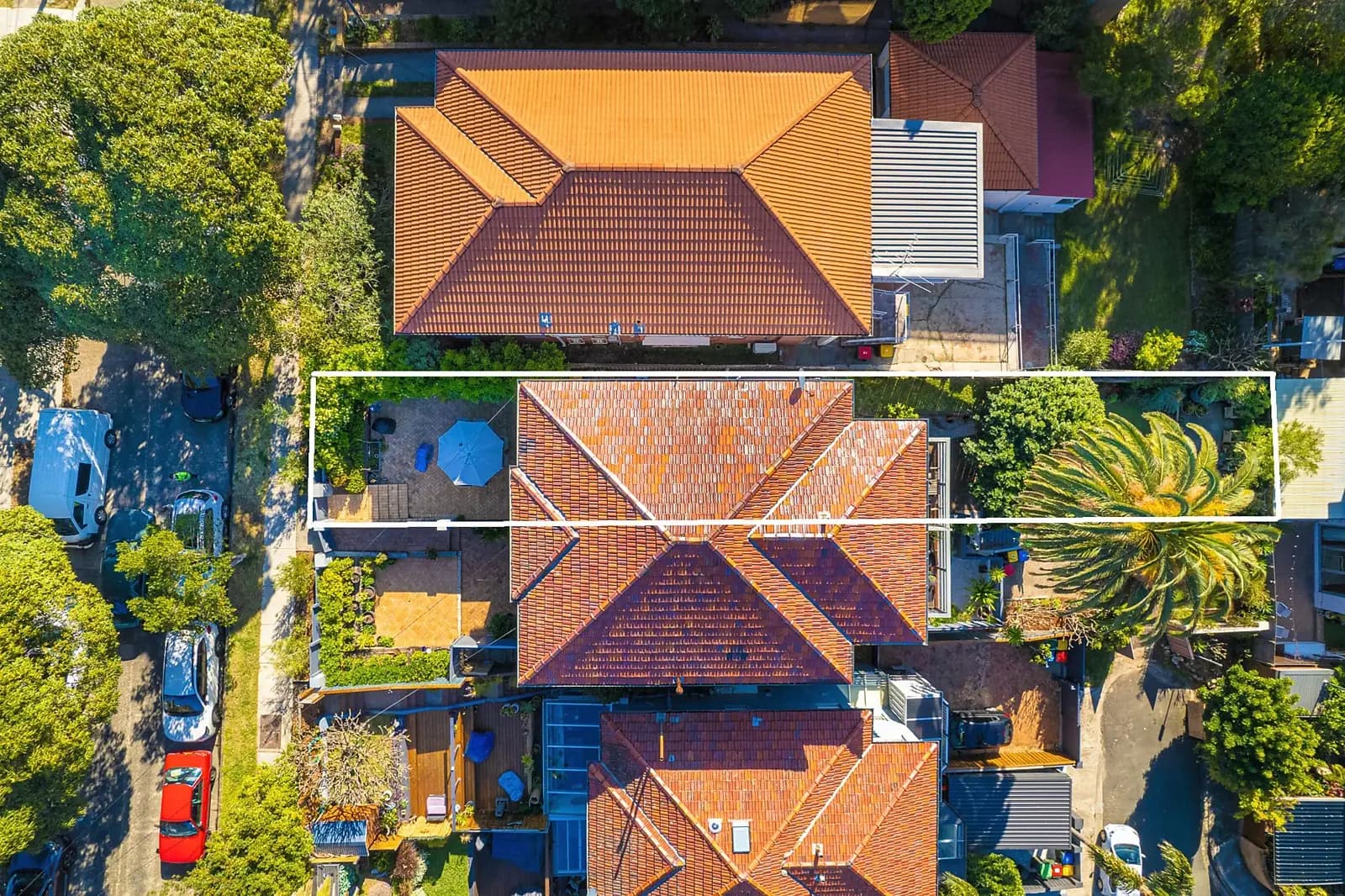 1/86 Chaleyer Street, Rose Bay, Rose Bay - Thumbnail 2