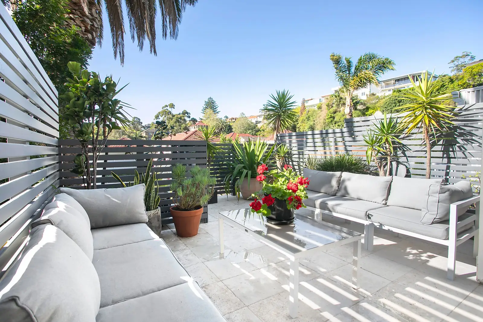 2/86 Chaleyer Street, Rose Bay, Rose Bay - Thumbnail 2