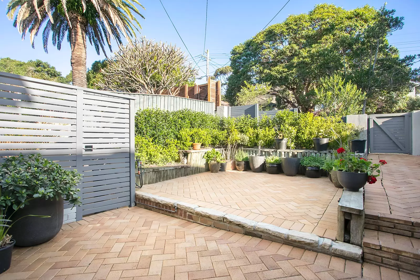 2/86 Chaleyer Street, Rose Bay, Rose Bay - Thumbnail 5