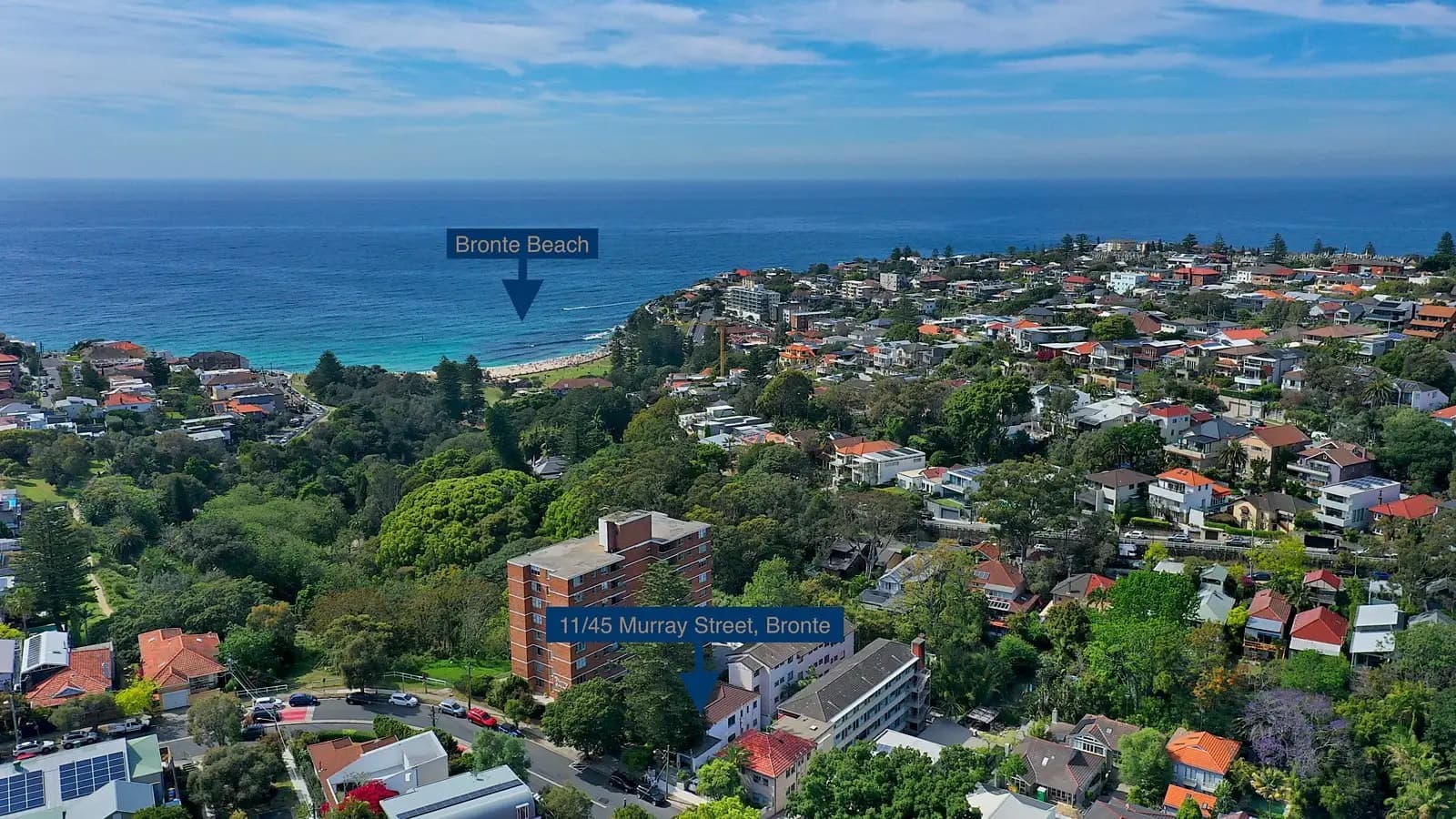11/45 Murray Street, Bronte, Bronte - Thumbnail 2