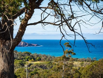 21 Acacia Crescent, Tura Beach, NSW, 2548, Tura Beach - Thumbnail 5