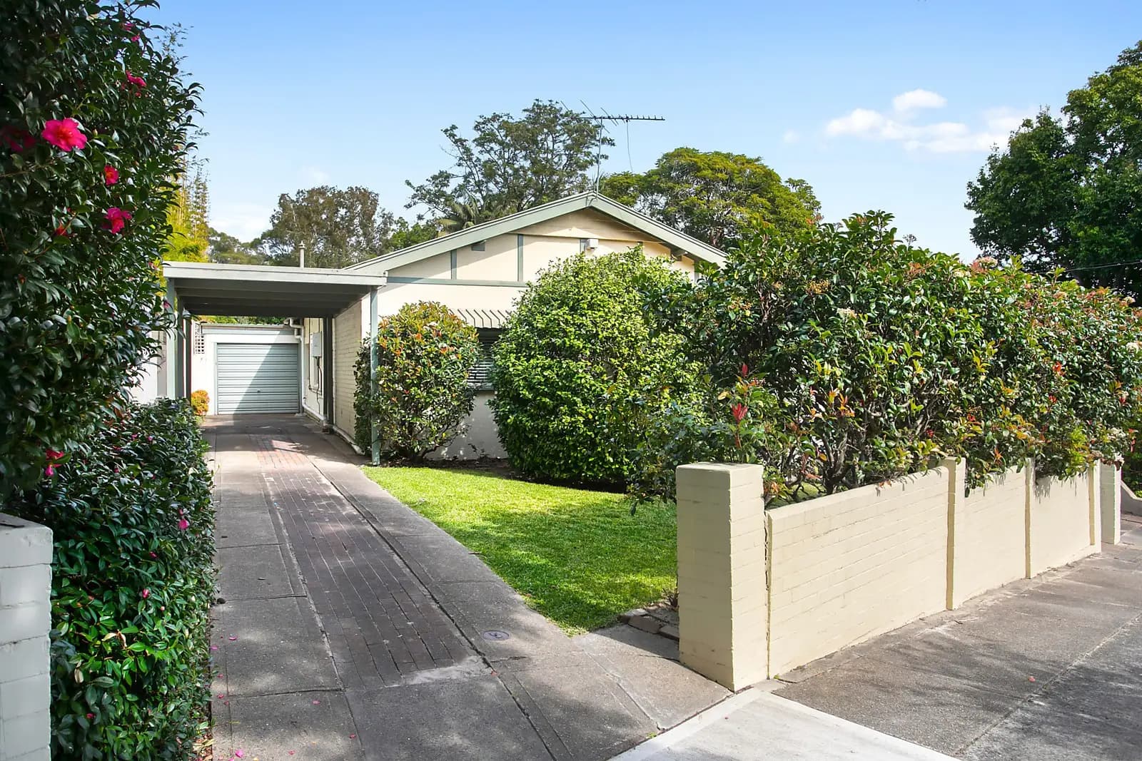 3 Ranfurley Road, Bellevue Hill, Bellevue Hill - Thumbnail 2