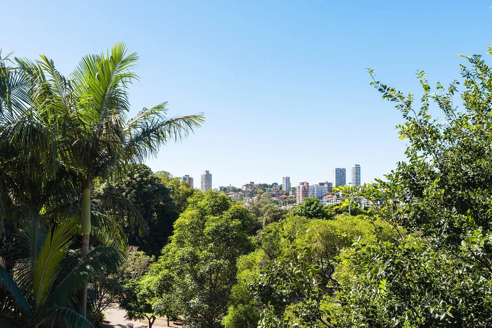 15/40A Roslyn Gardens, Rushcutters Bay, Rushcutters Bay - Thumbnail 2