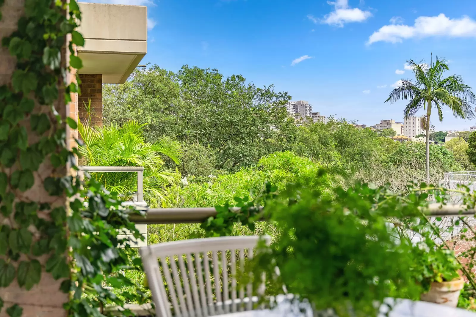 8/1-3 Mona Lane, Darling Point, Darling Point - Thumbnail 3