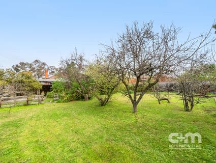 14 Pleasant Street, Pascoe Vale, VIC, 3044, Pascoe Vale - Thumbnail 8