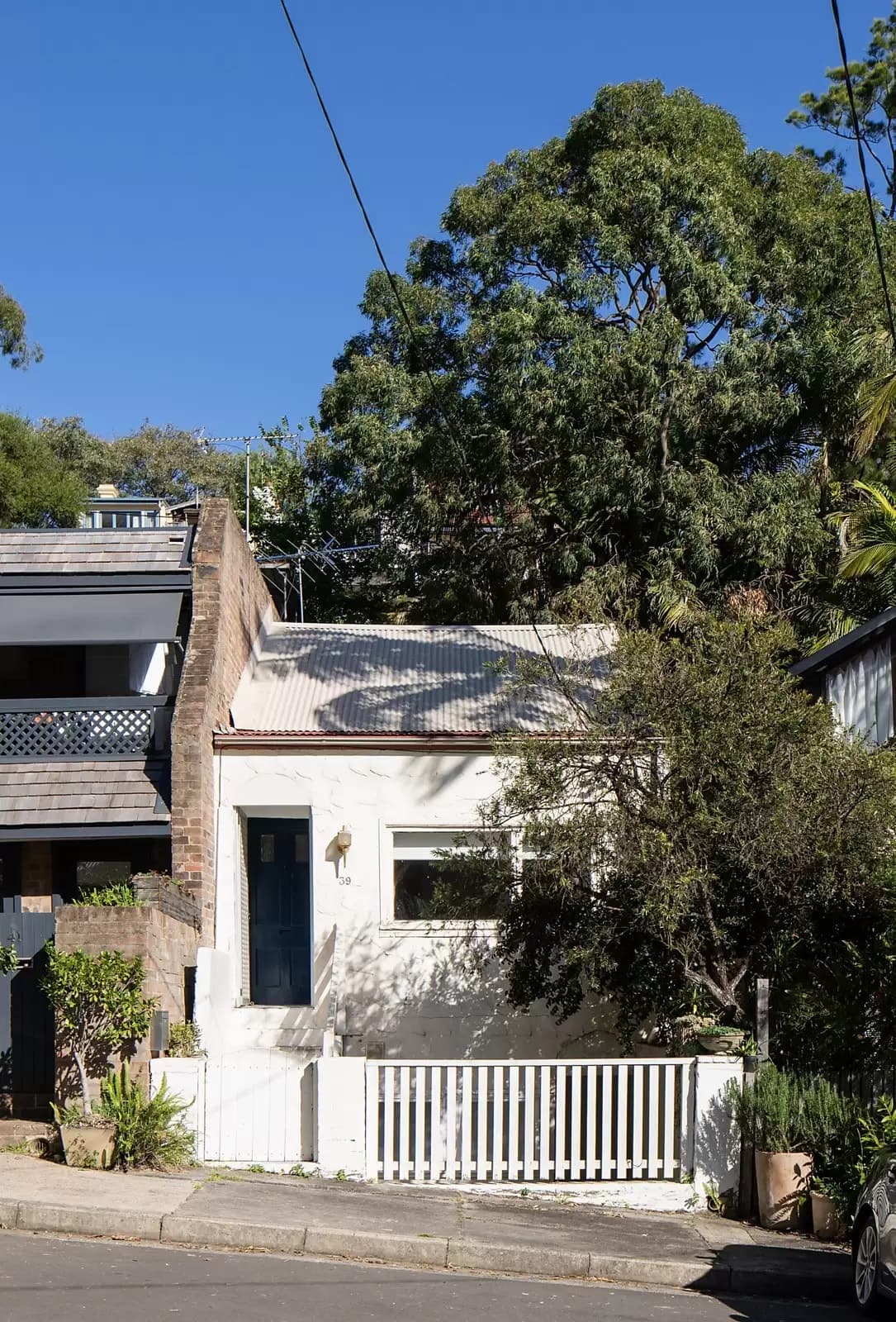 39 Harris Street, Paddington, Paddington - Thumbnail 4